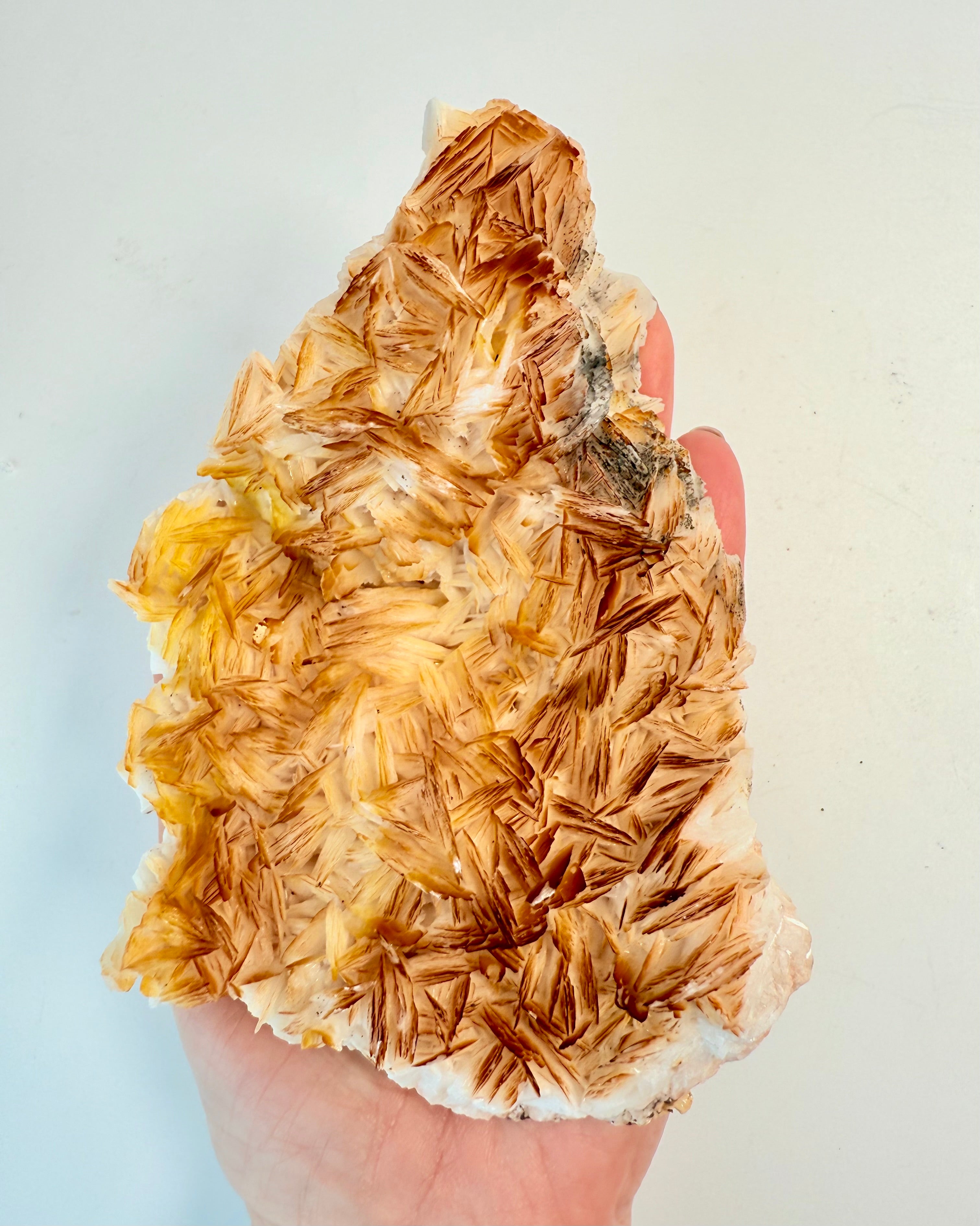 JORDORAKLETS KODNINGER - KRYSTAL - UNIKA