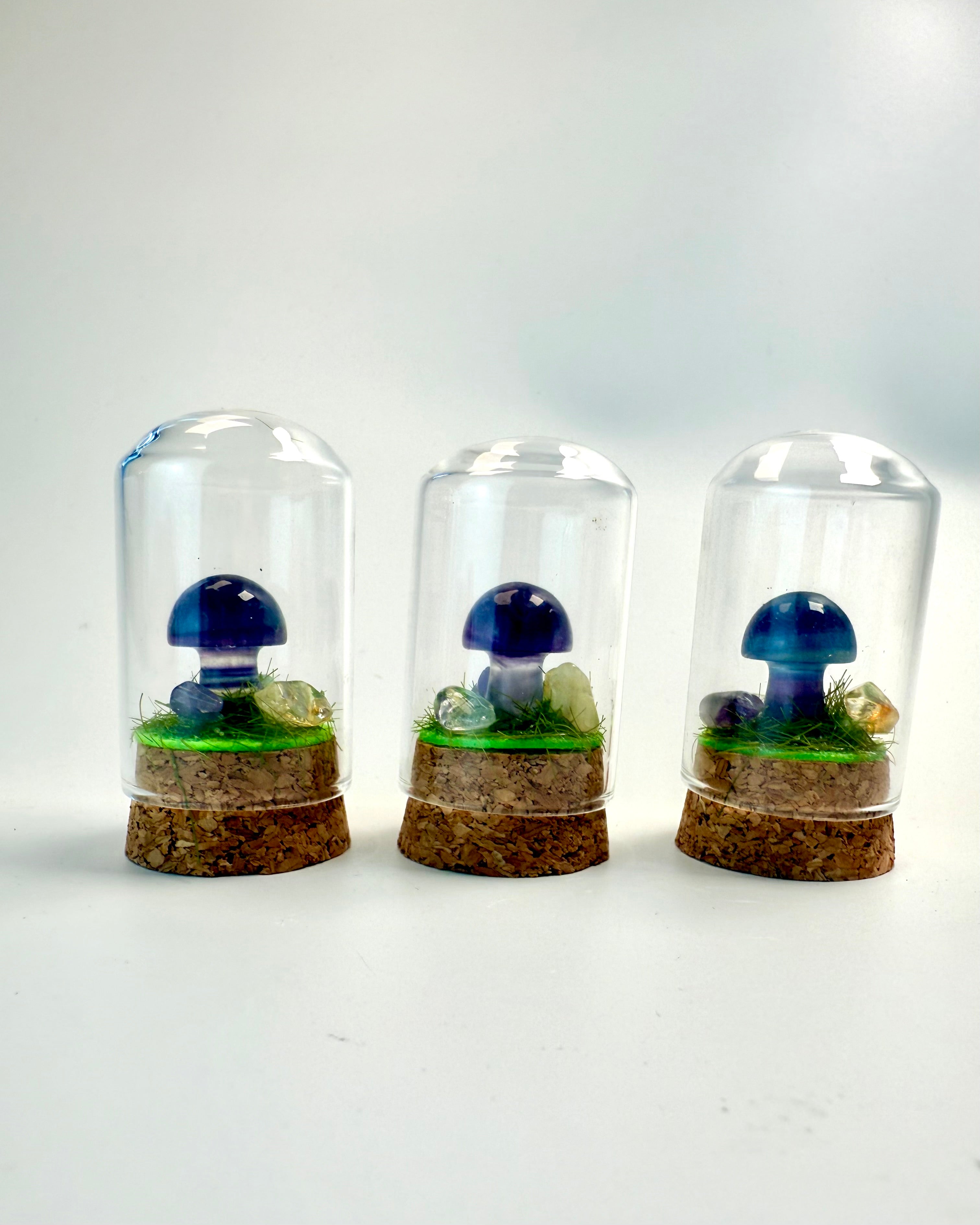 SKOVENS MAGISKE HEMMELIGHEDER