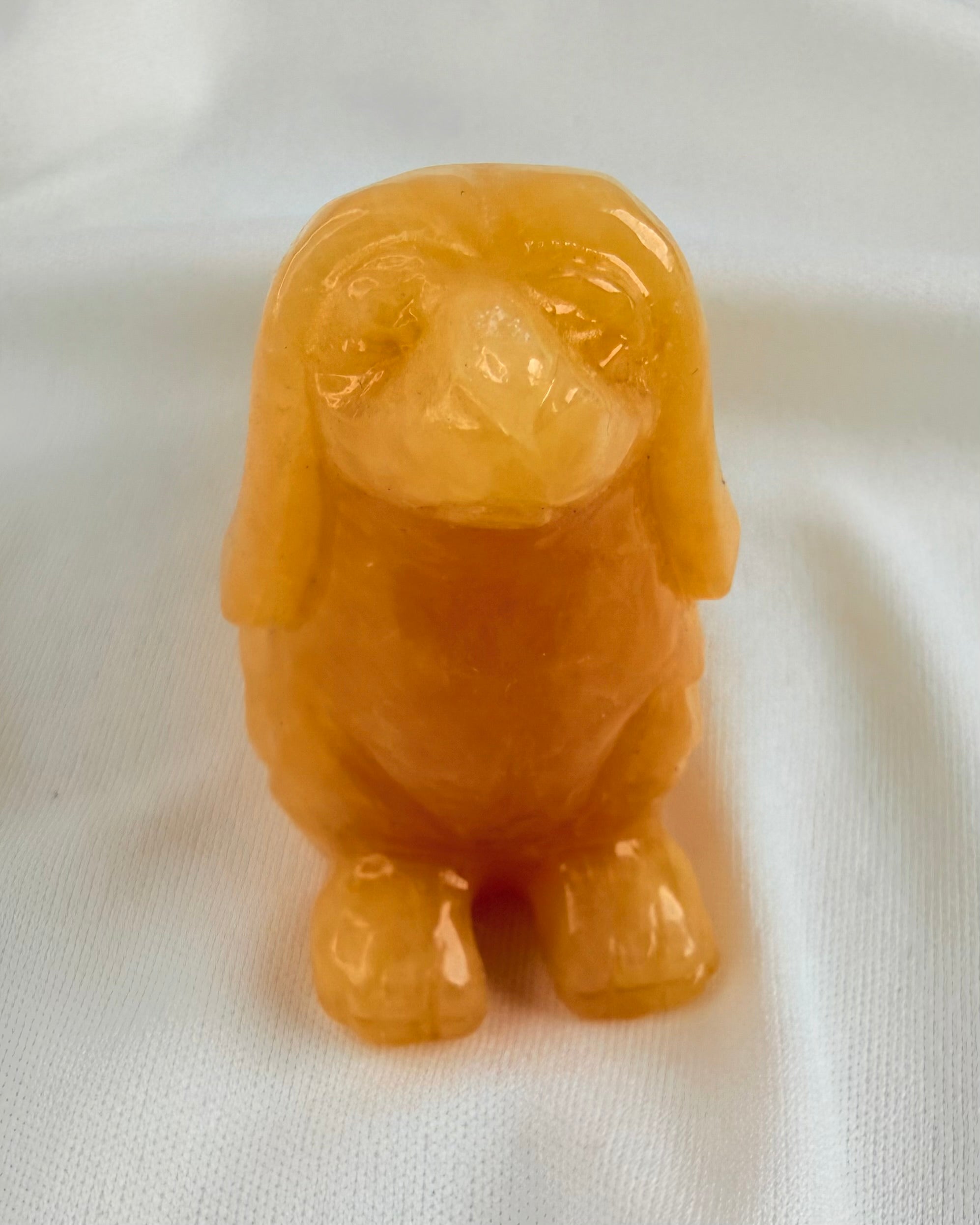 LIVSGLÆDE - HUND - UNIKA