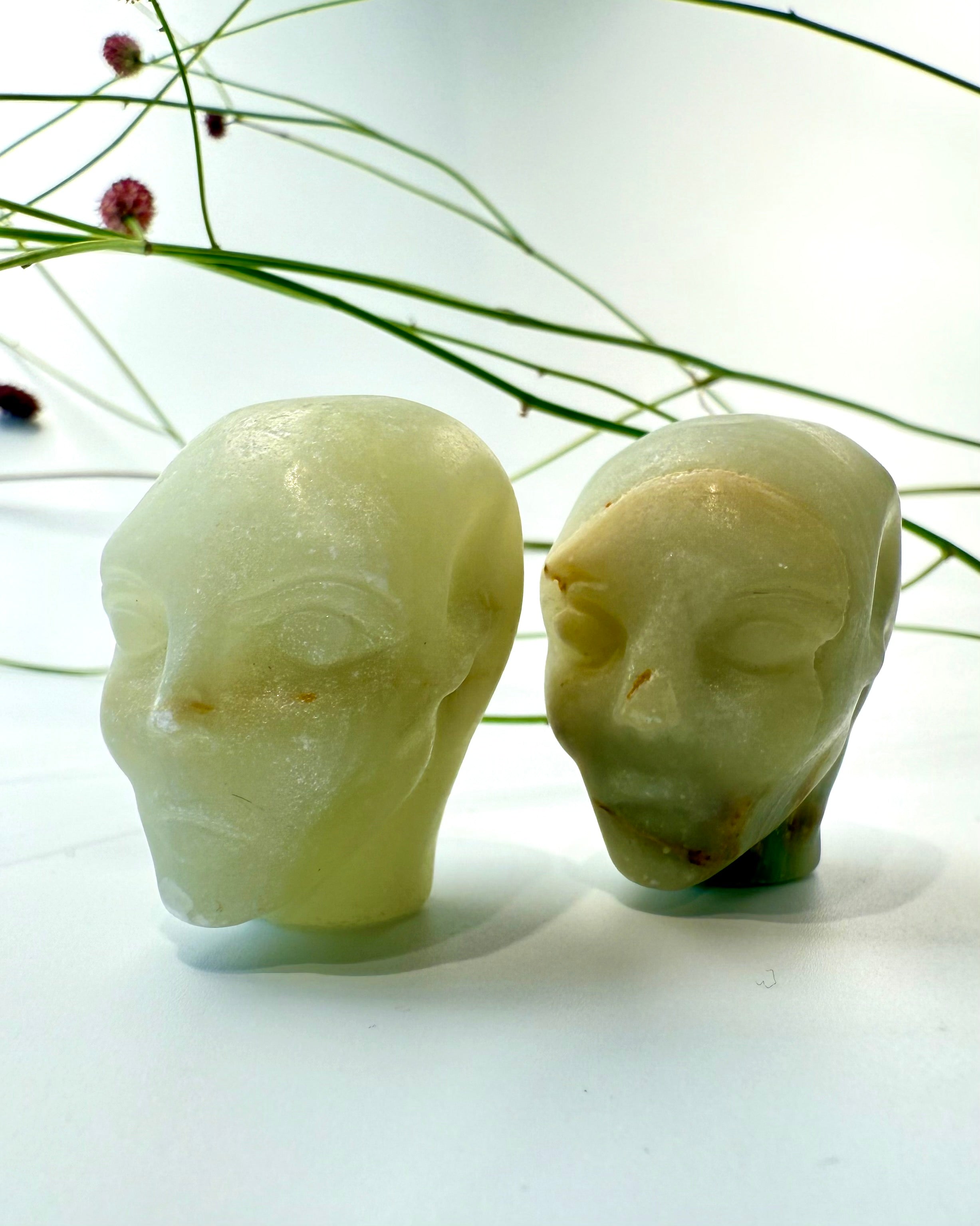 TILLID OG INDRØMMELSER - ALIEN