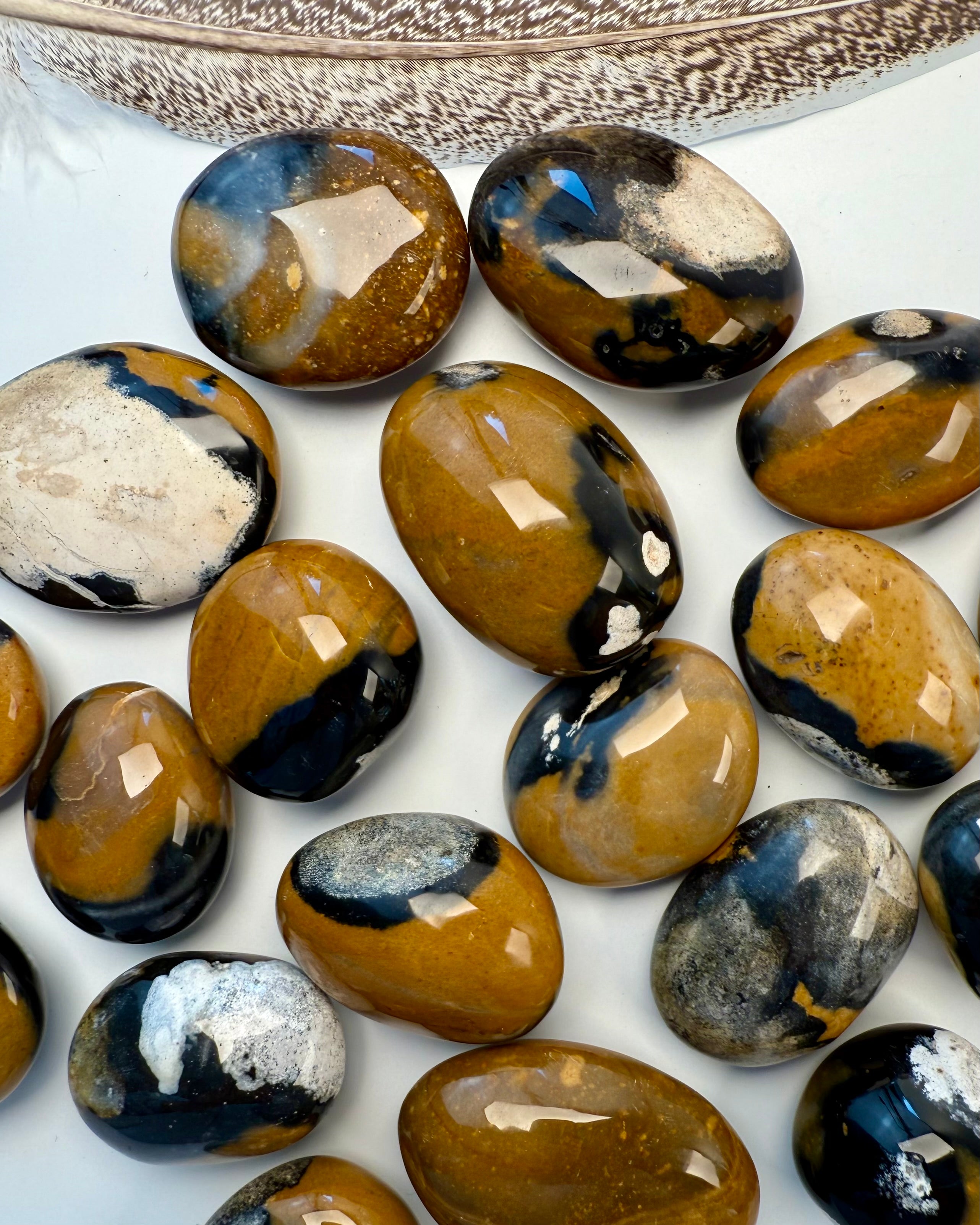 UBEGRÆNSET VIDEN - KRYSTAL