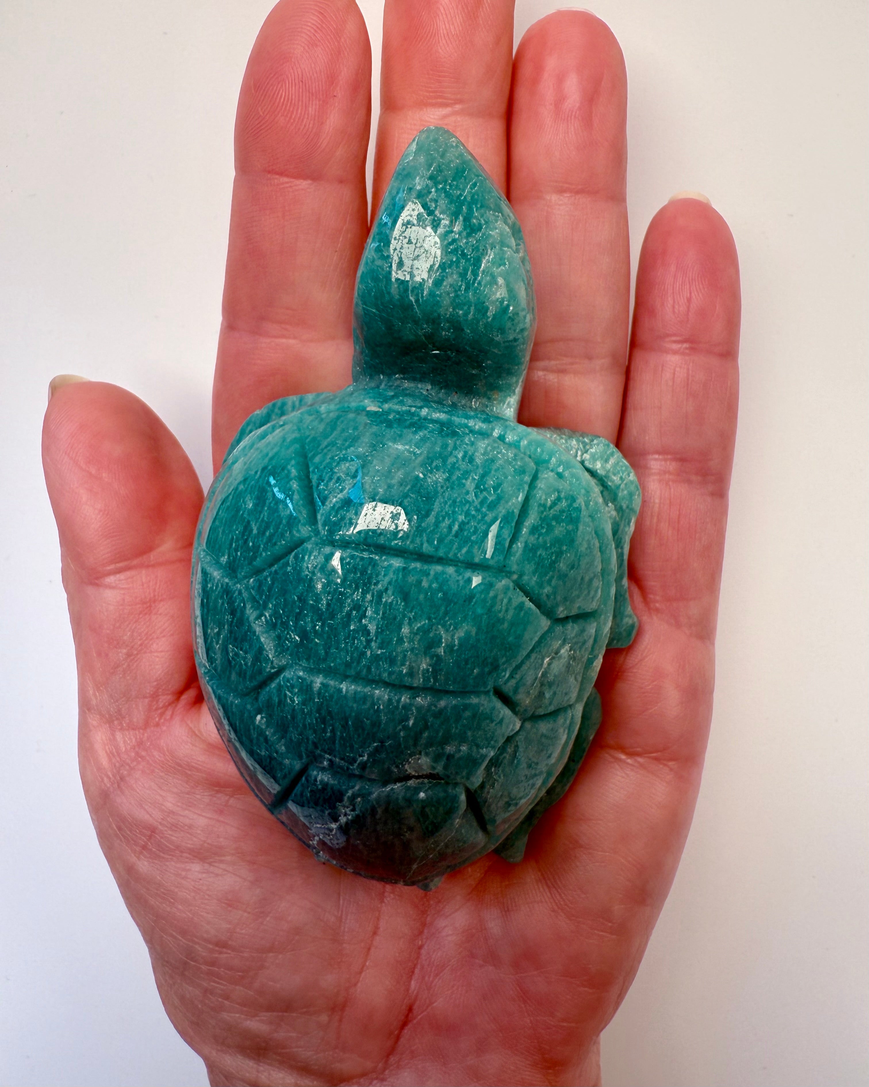 EXPRESS YOURSELF - SKILDPADDE - UNIKA