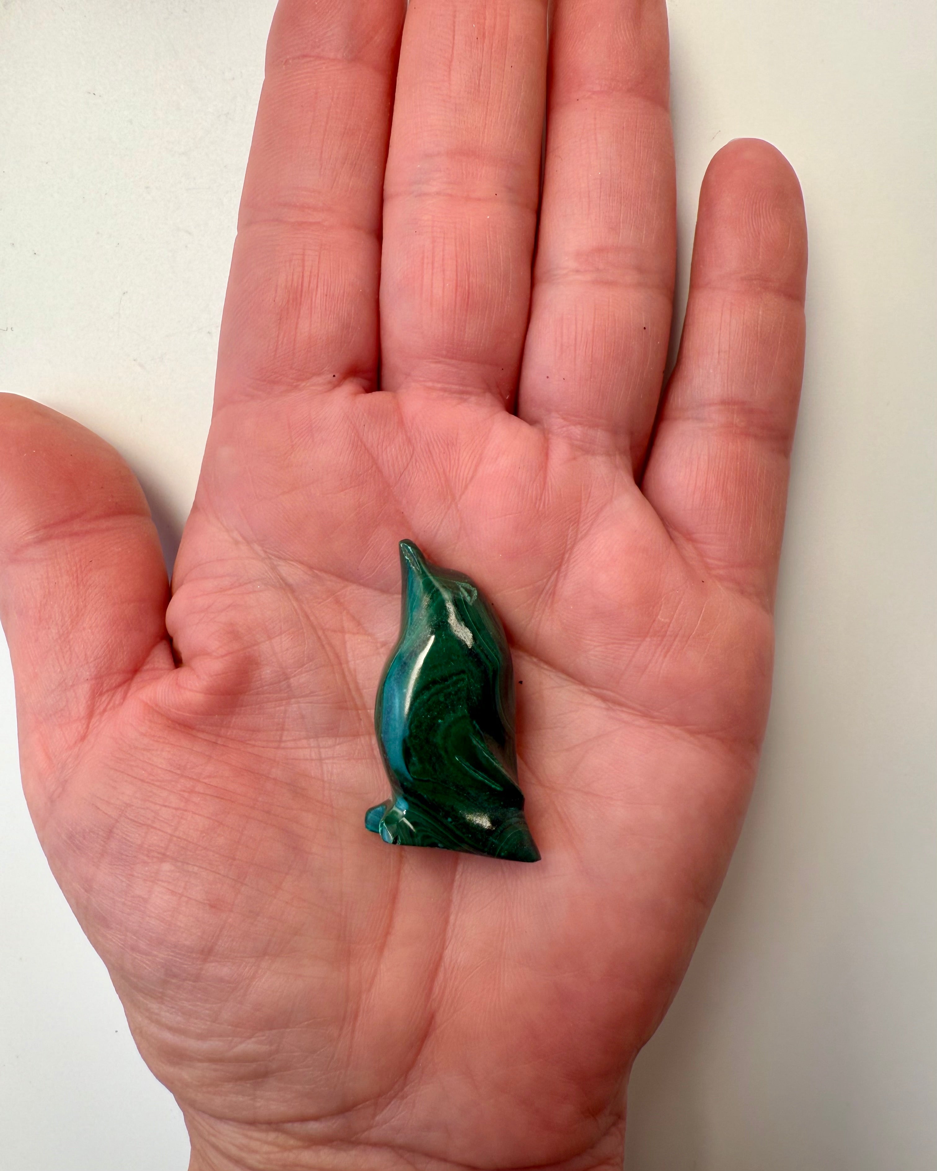 DIN EGEN SEJR - PINGVIN