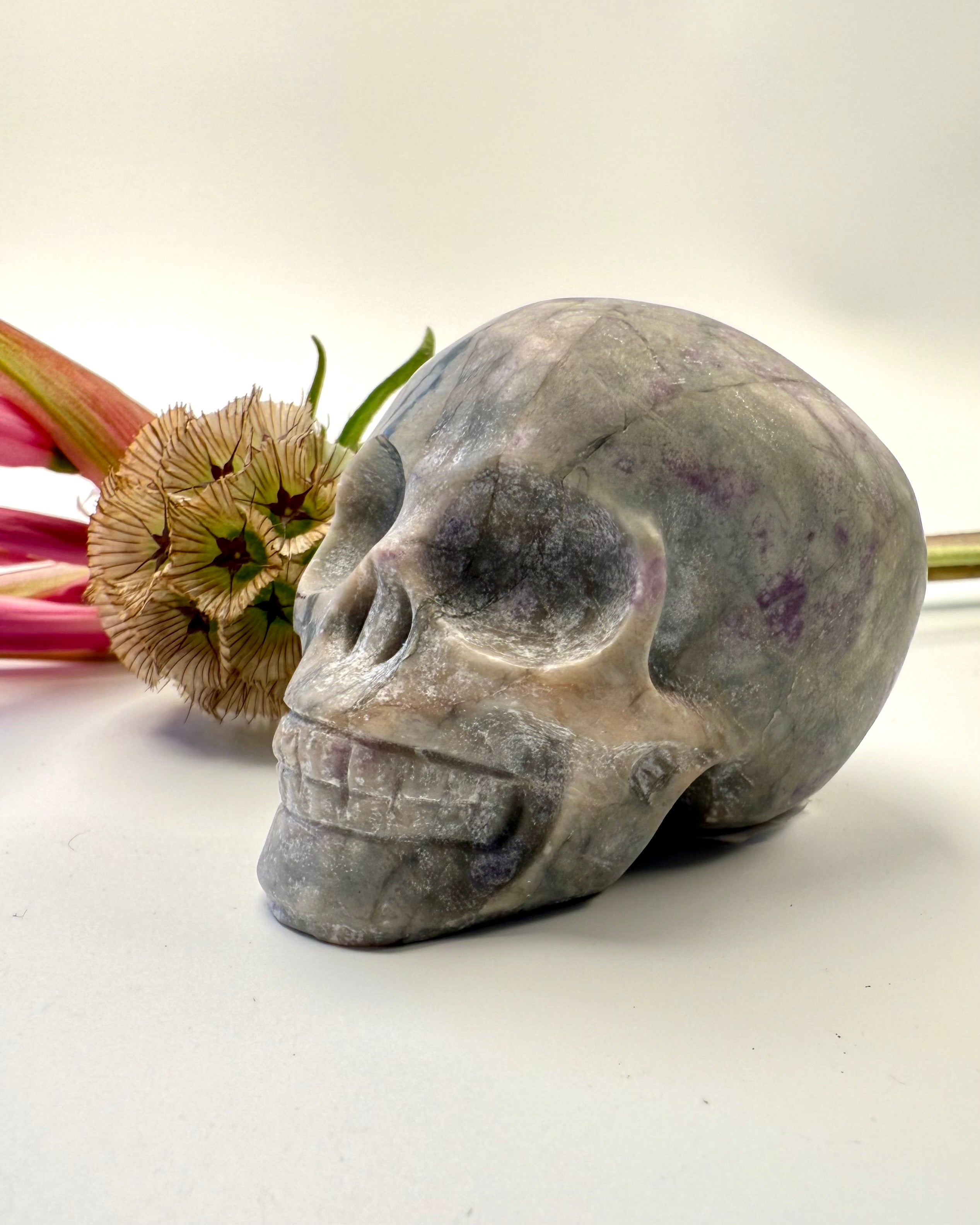 OVERGANGENS MESTER - KRANIE - UNIKA