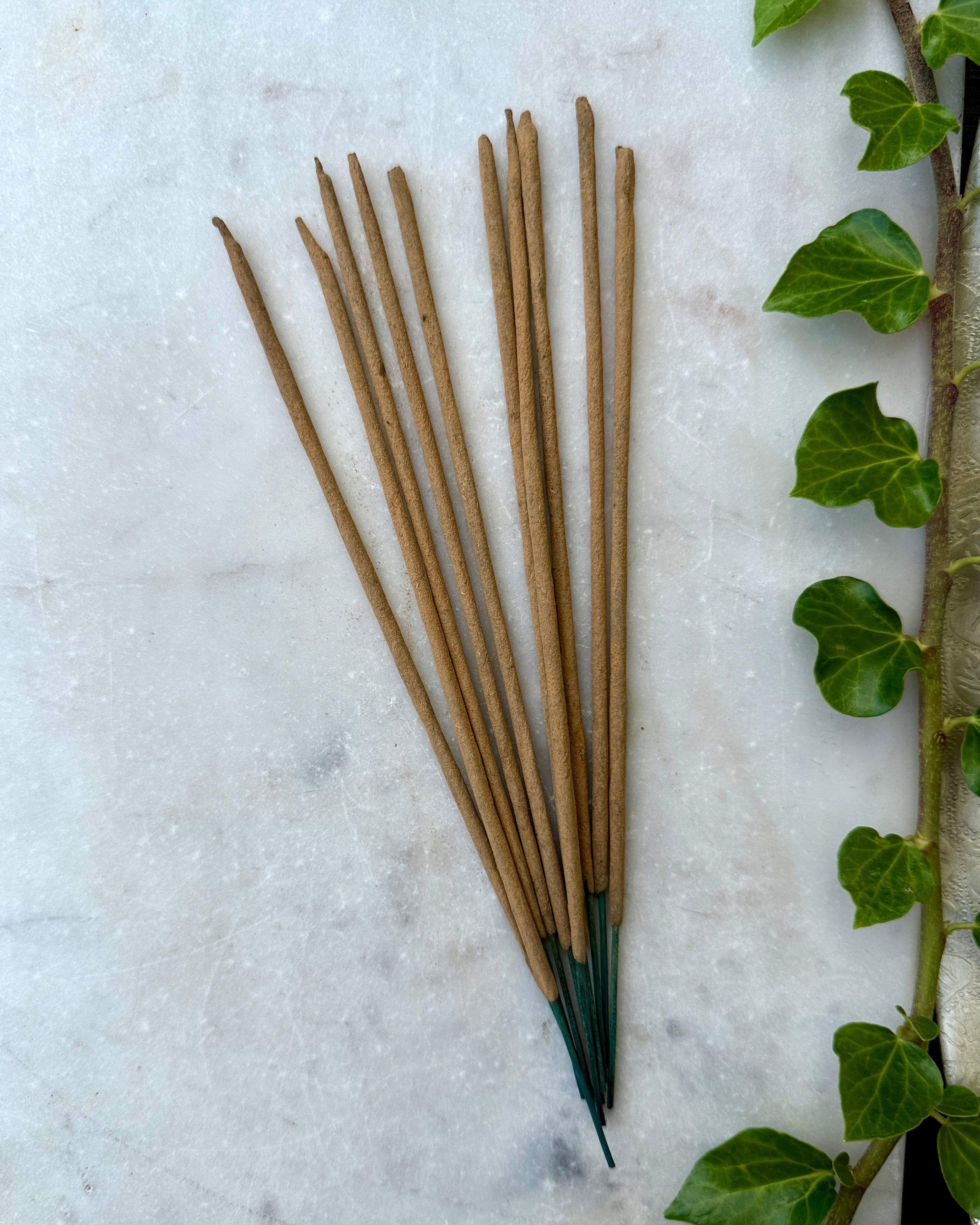 NY FRISK START - RØGELSE