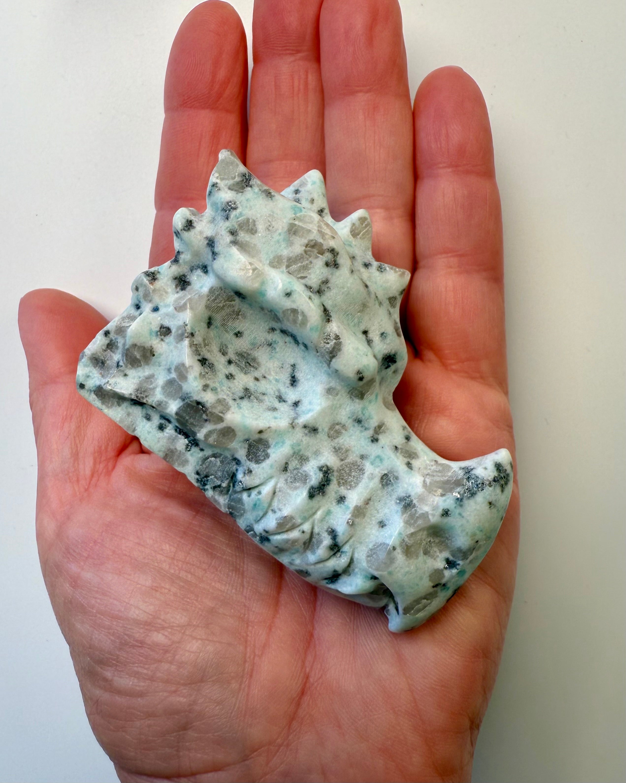 SANDHEDENS MESTER - DRAGE 2 tilb