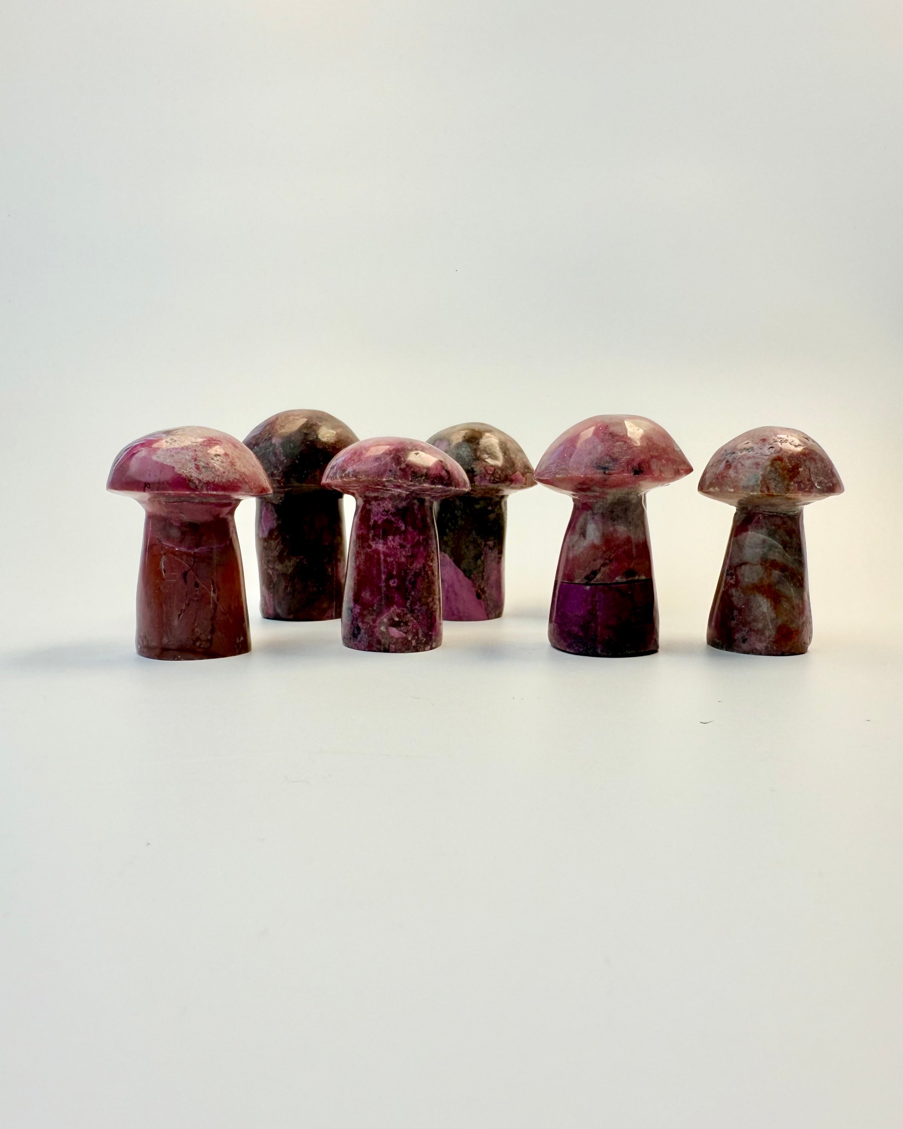 RODENS FORTÆLLING - SVAMP