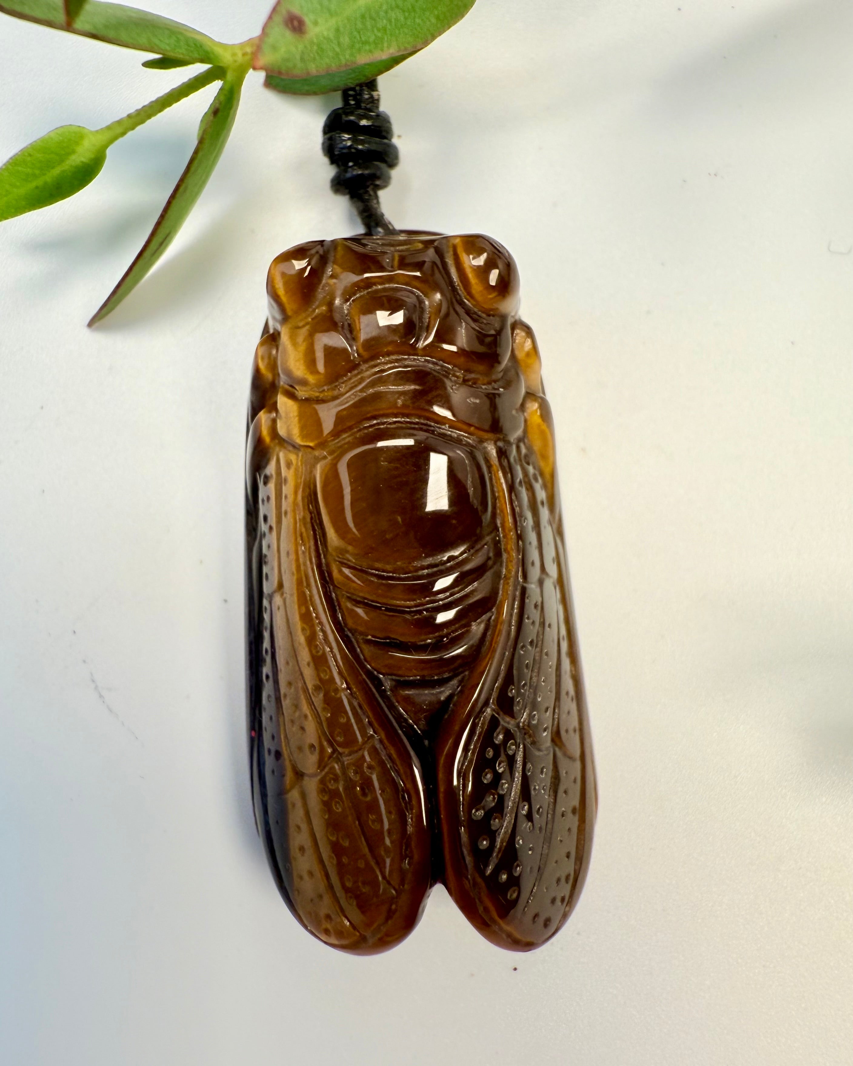 VILDE FORANDRINGER - TALISMAN