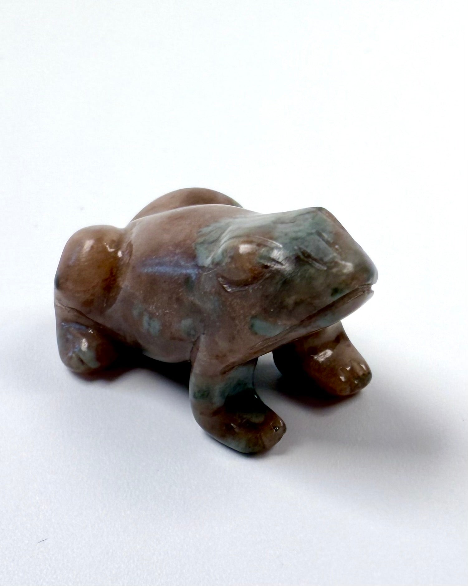 FORVANDLING OG NY START - FRØ