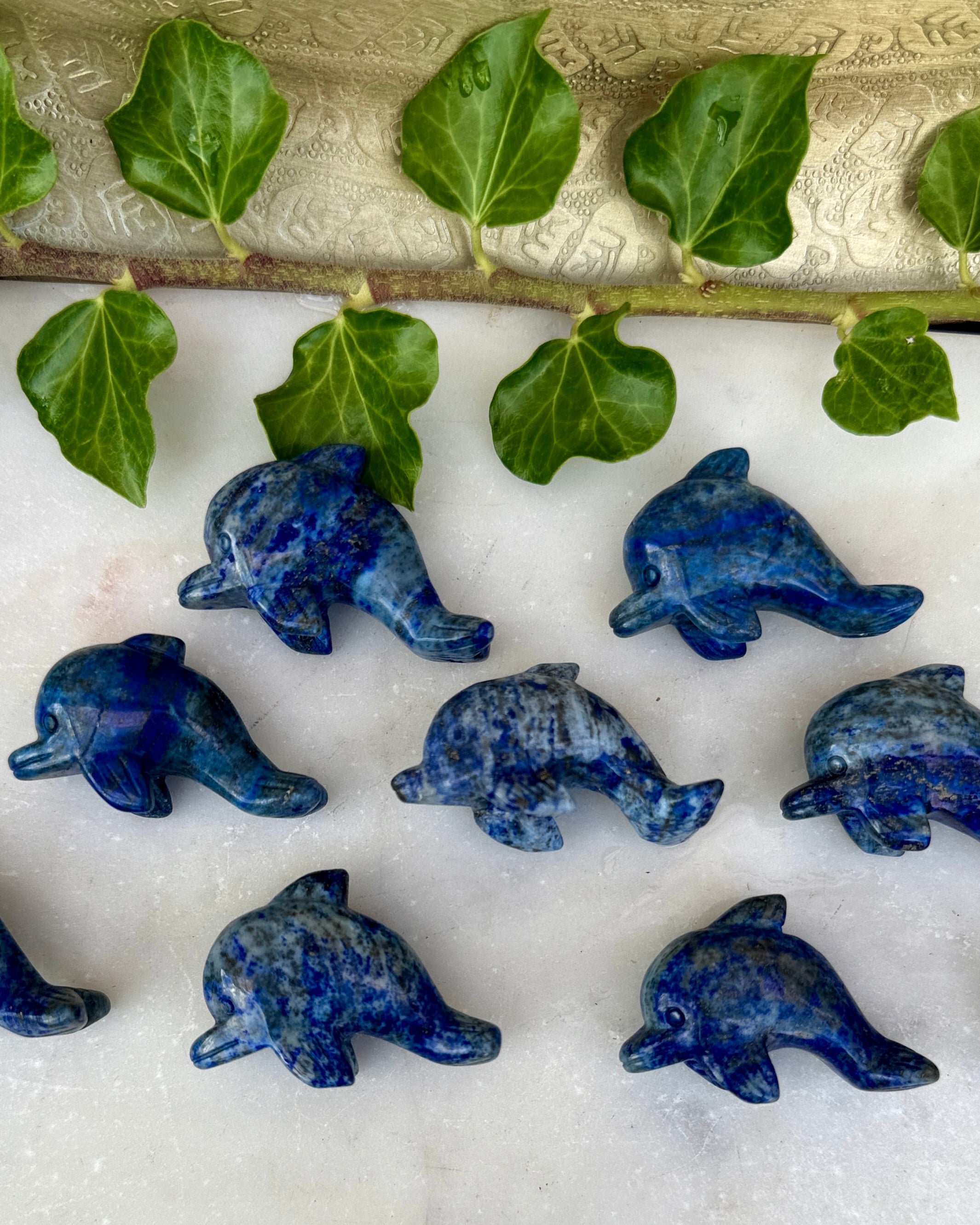 INTELLIGENS OG VIDEN - DELFIN