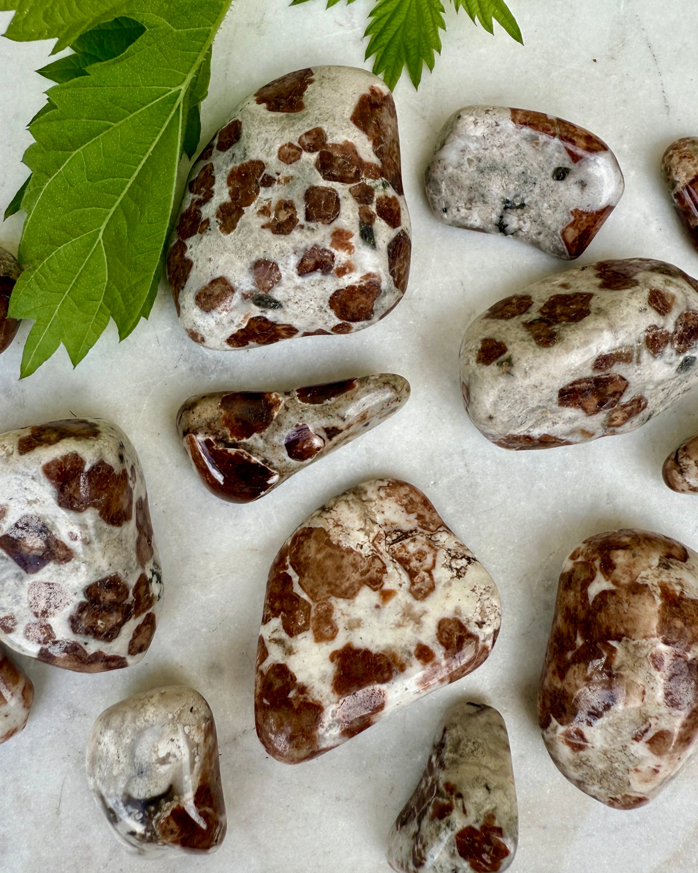 LINDRING AF SMERTE - KRYSTAL