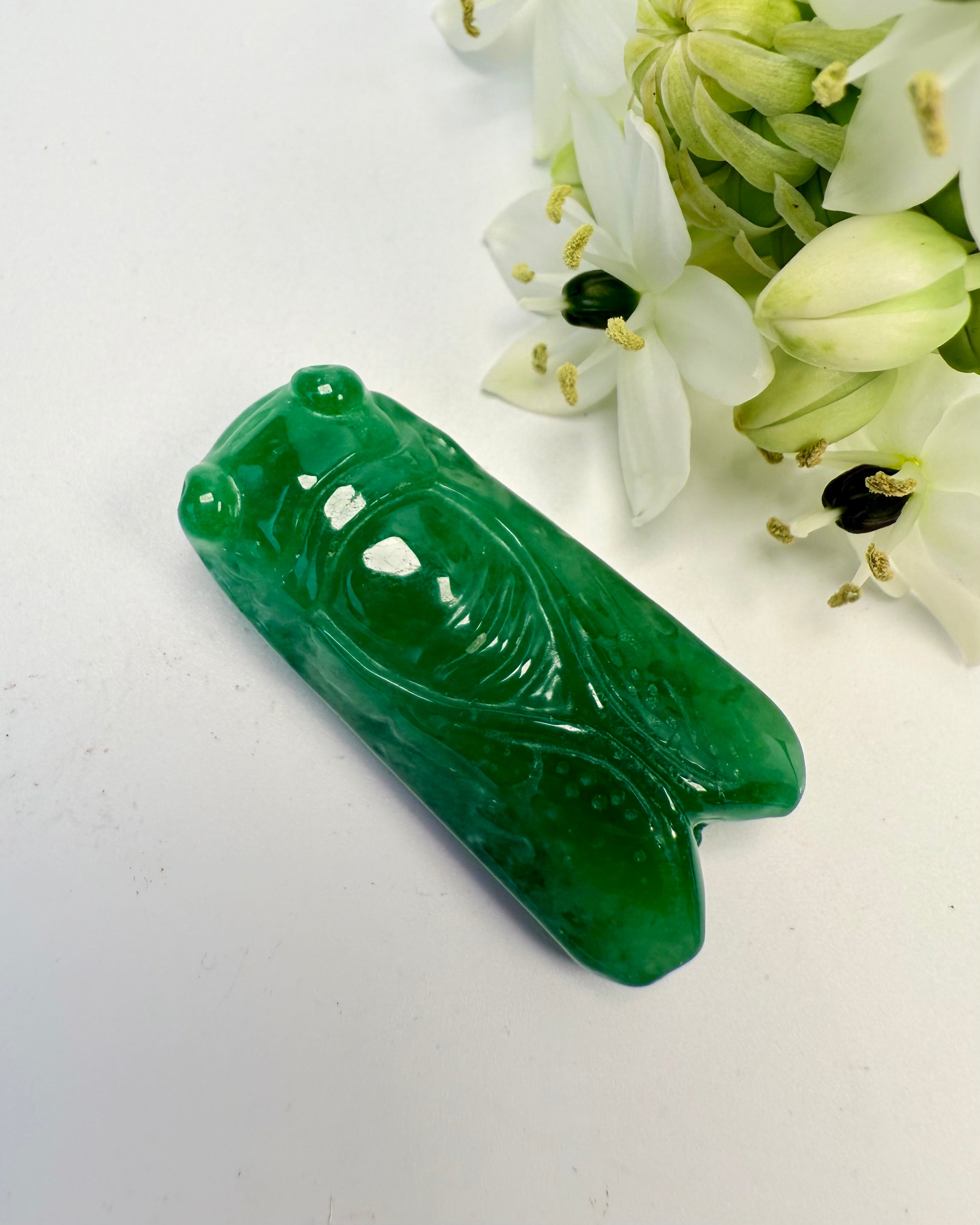 ET KALD TIL AT REJSE DIG - SKAREBÆ - UNIKA