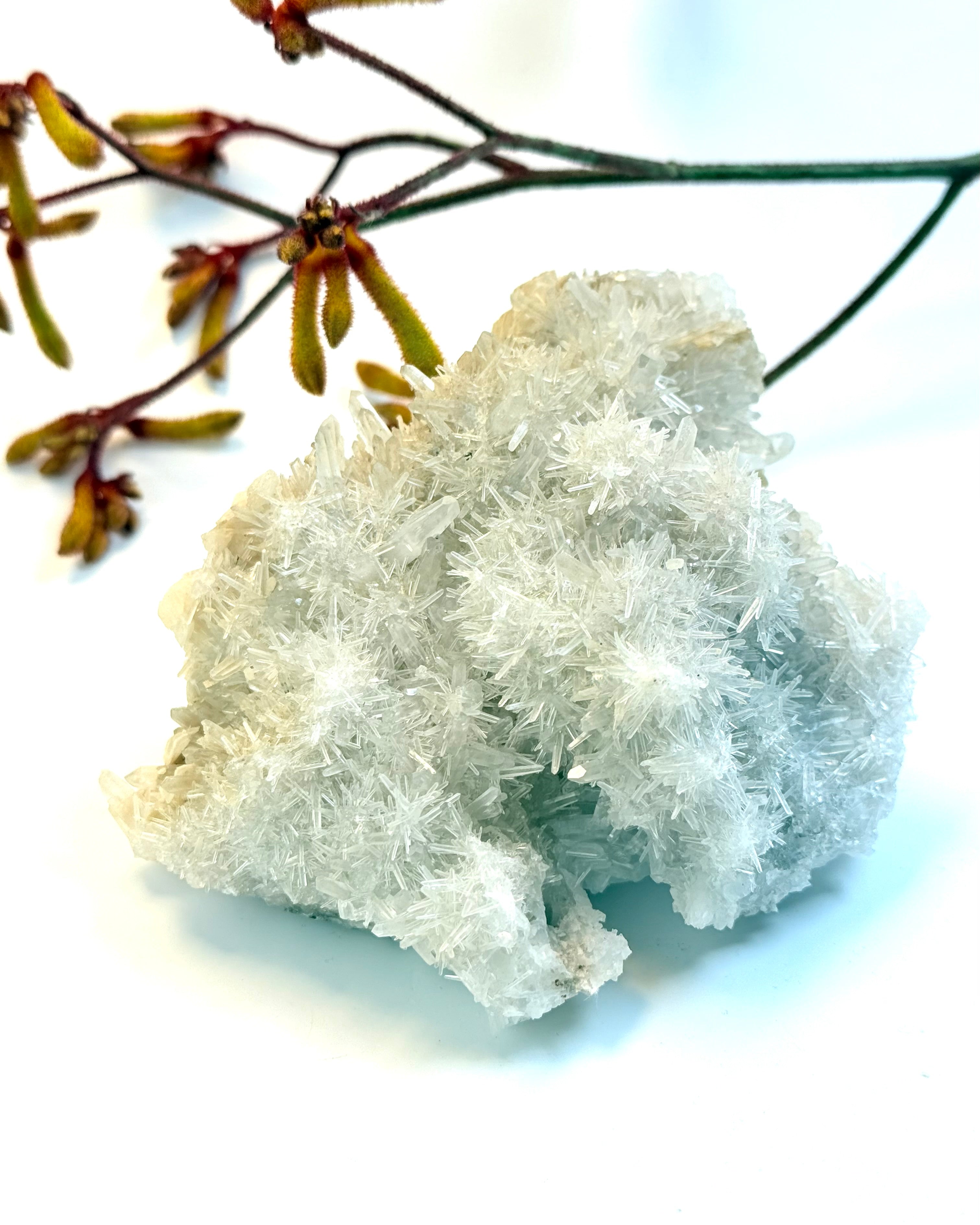 DEN OPHØJEDE UDRENSING - KRYSTAL - UNIKA