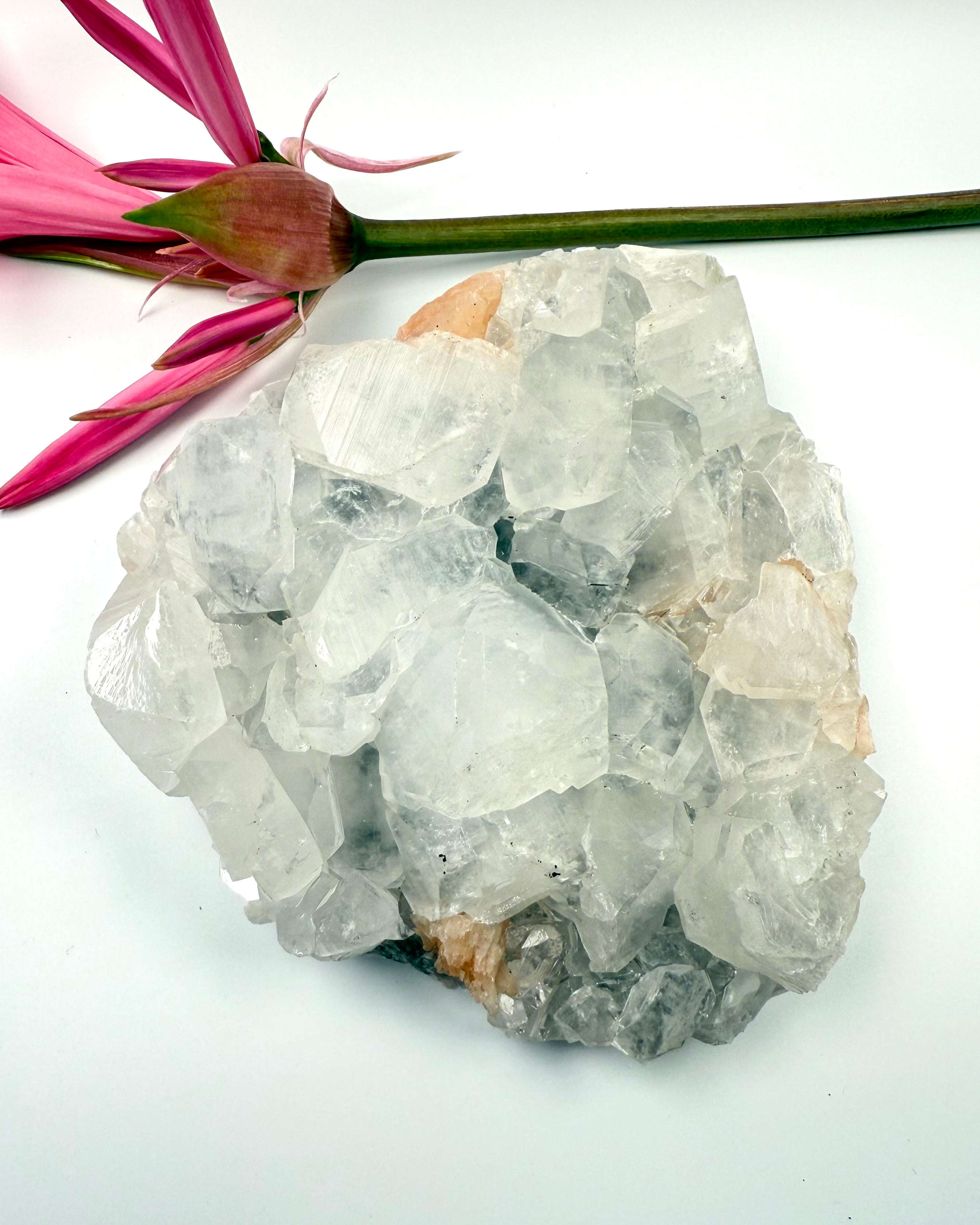 FRISÆTTELSE - KRYSTAL - UNIKA