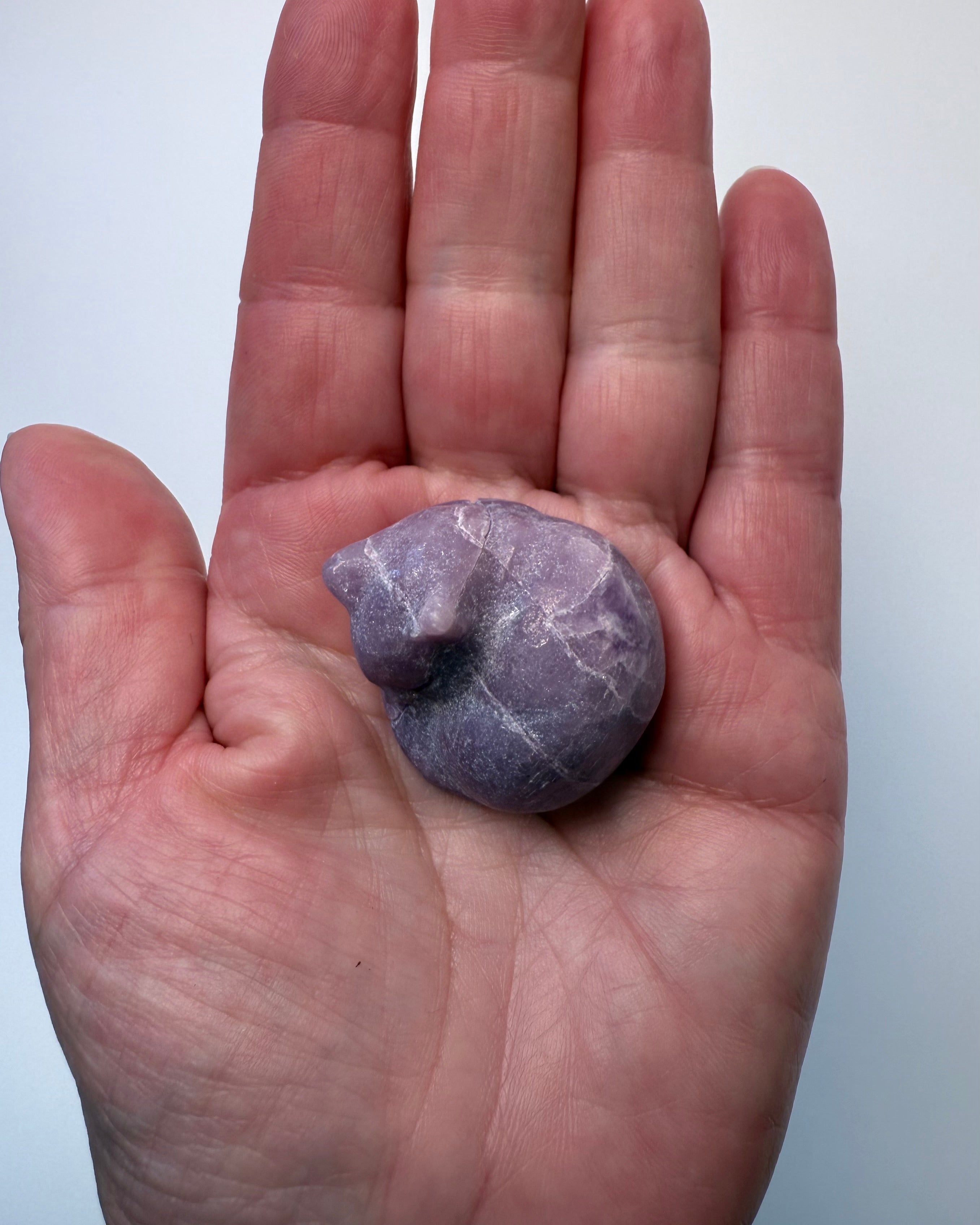 AT TURDE GÅ SINE EGNE VEJE - KAT 1 tilb