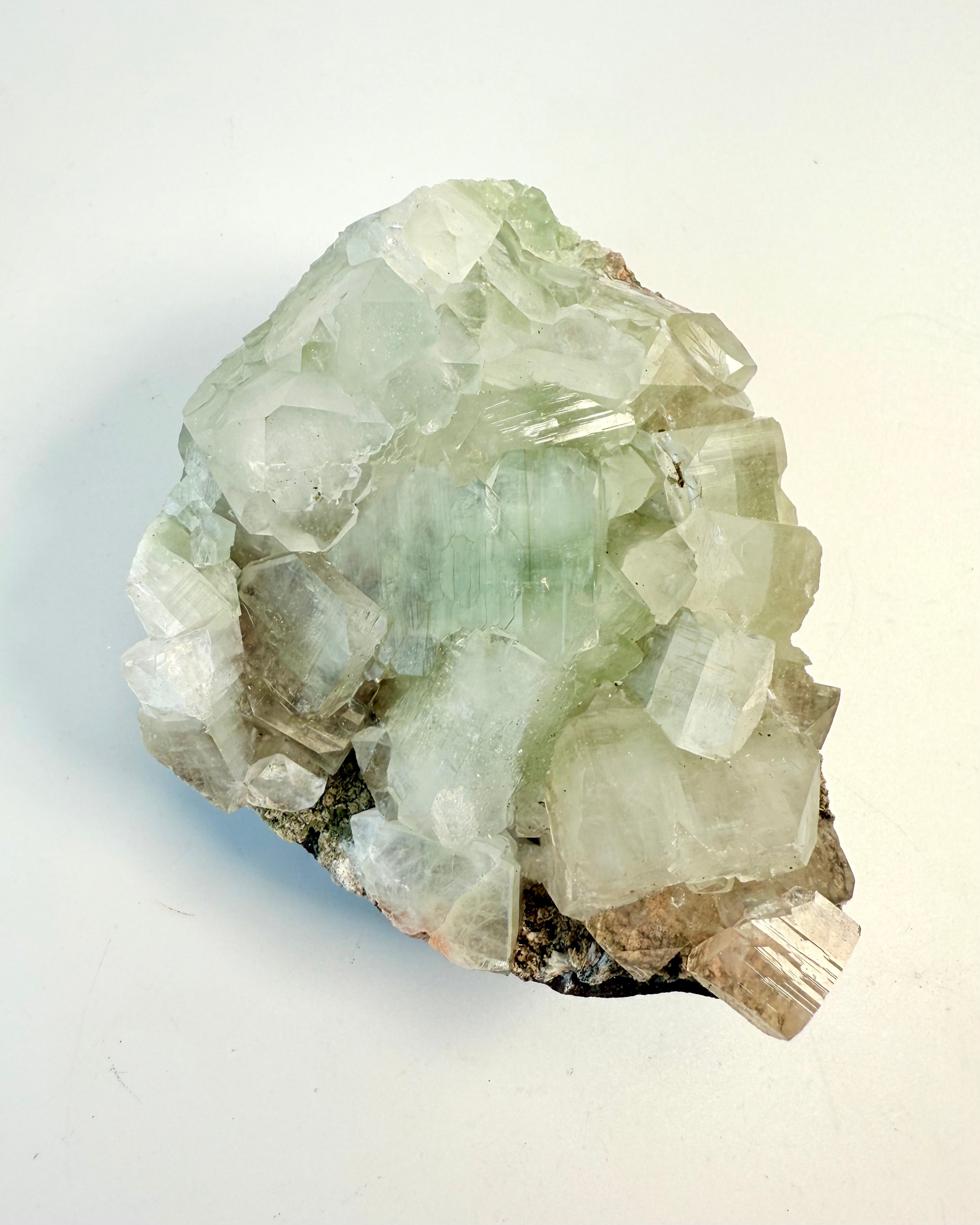 TIME TRAVELER - KRYSTAL - UNIKA