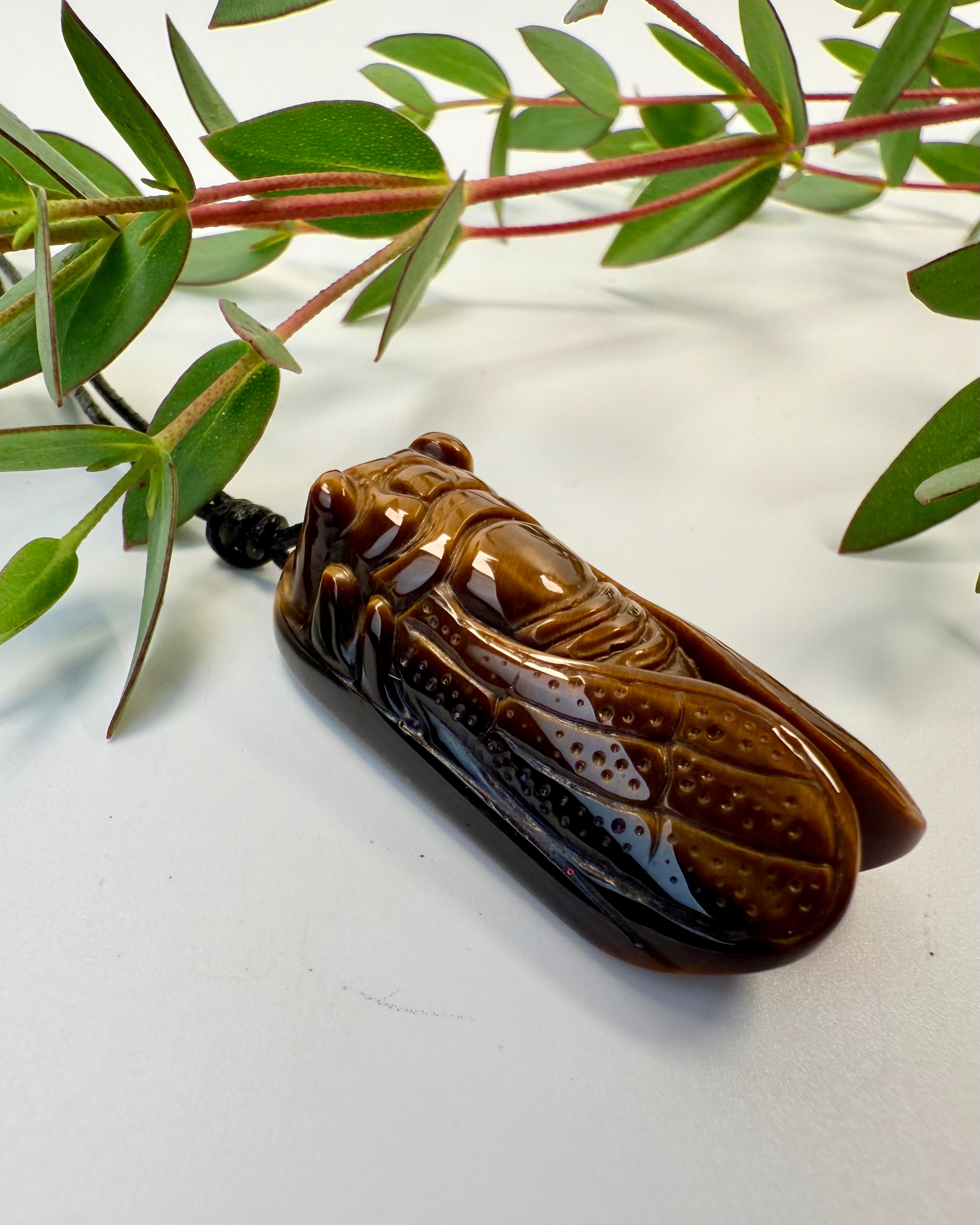 VILDE FORANDRINGER - TALISMAN