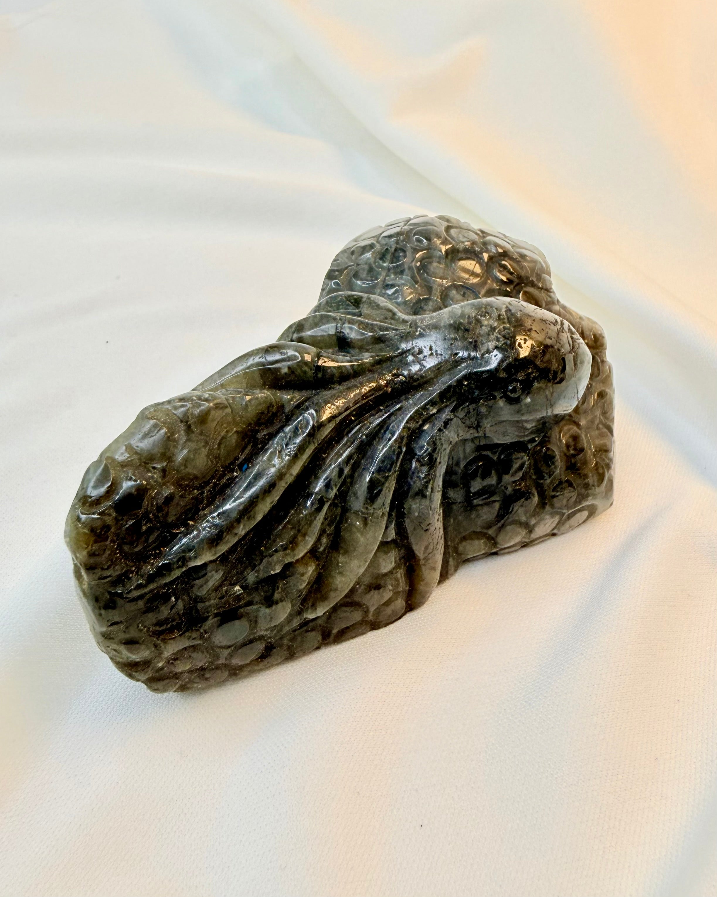 EVNEN TIL AT STARTE FORFRA - BLÆKSPRUTTE - KRYSTAL - UNIKA