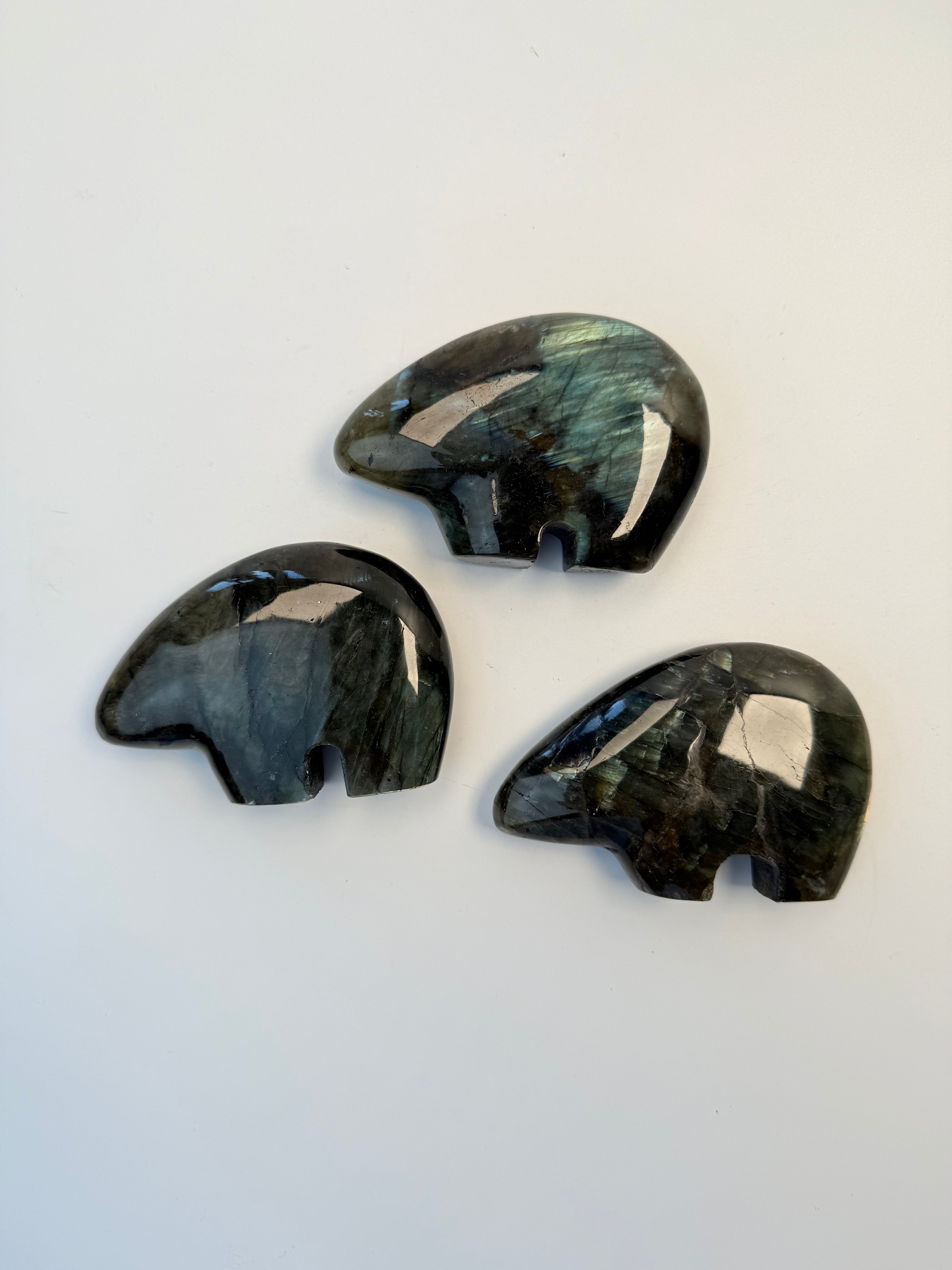 FORTIDENS AFTALER - SHAMANENS BJØRN