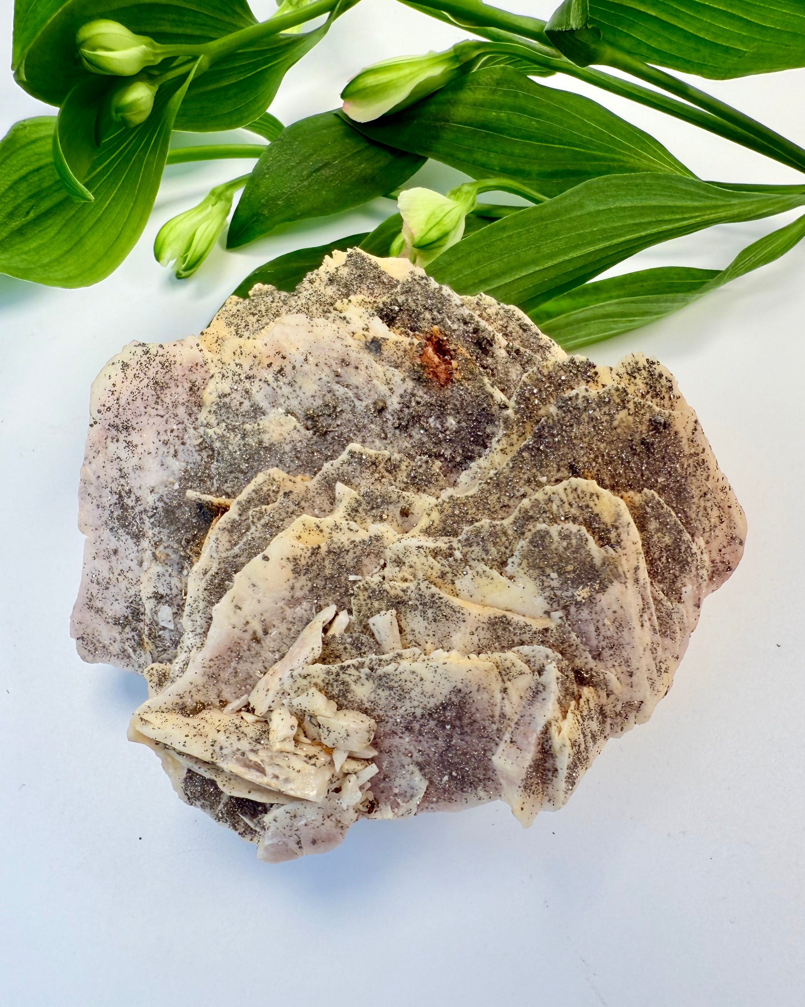 STJERNEREJSE - KRYSTAL - UNIKA