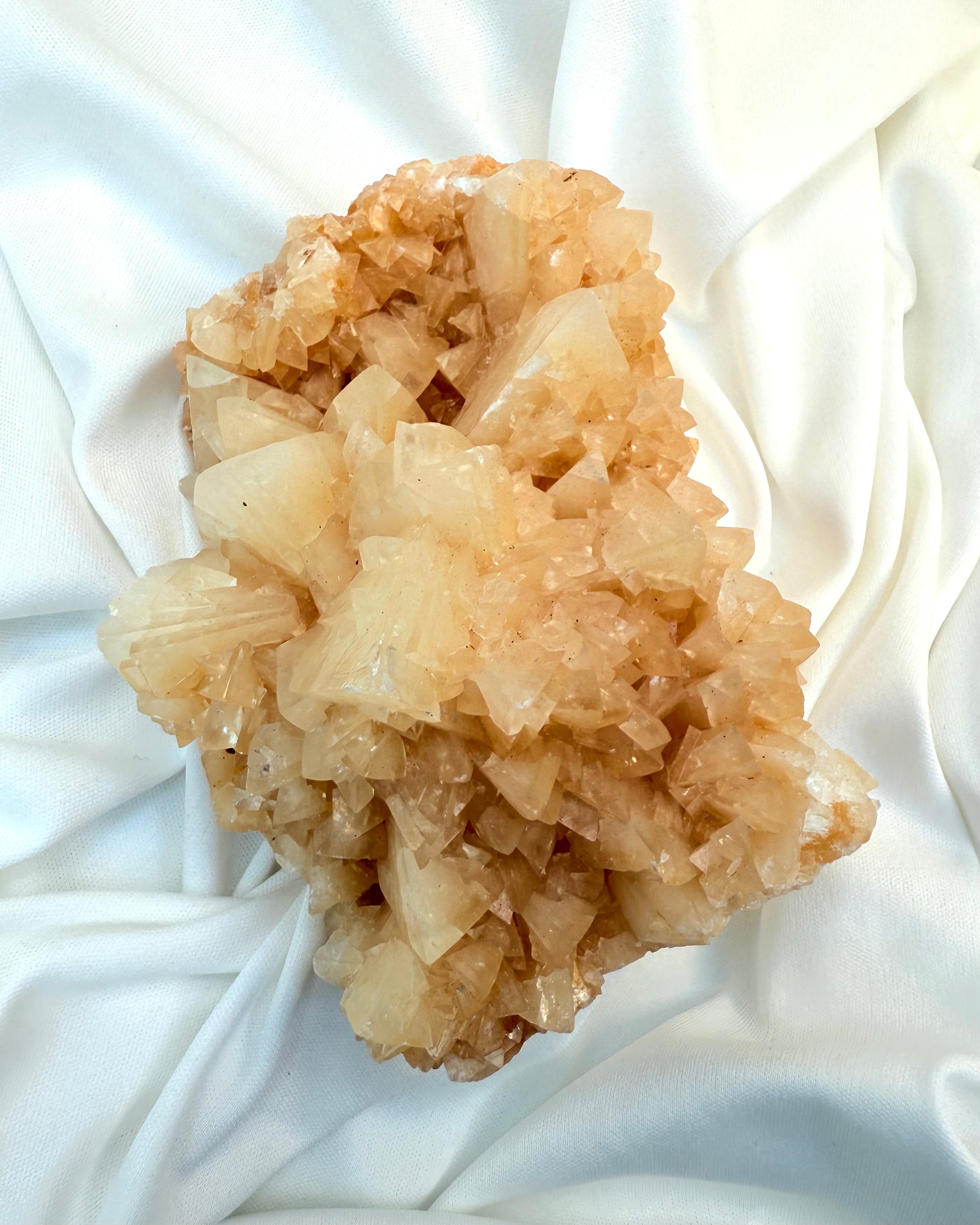 FORSVAR ELLER ACCEPT - KRYSTAL - UNIKA