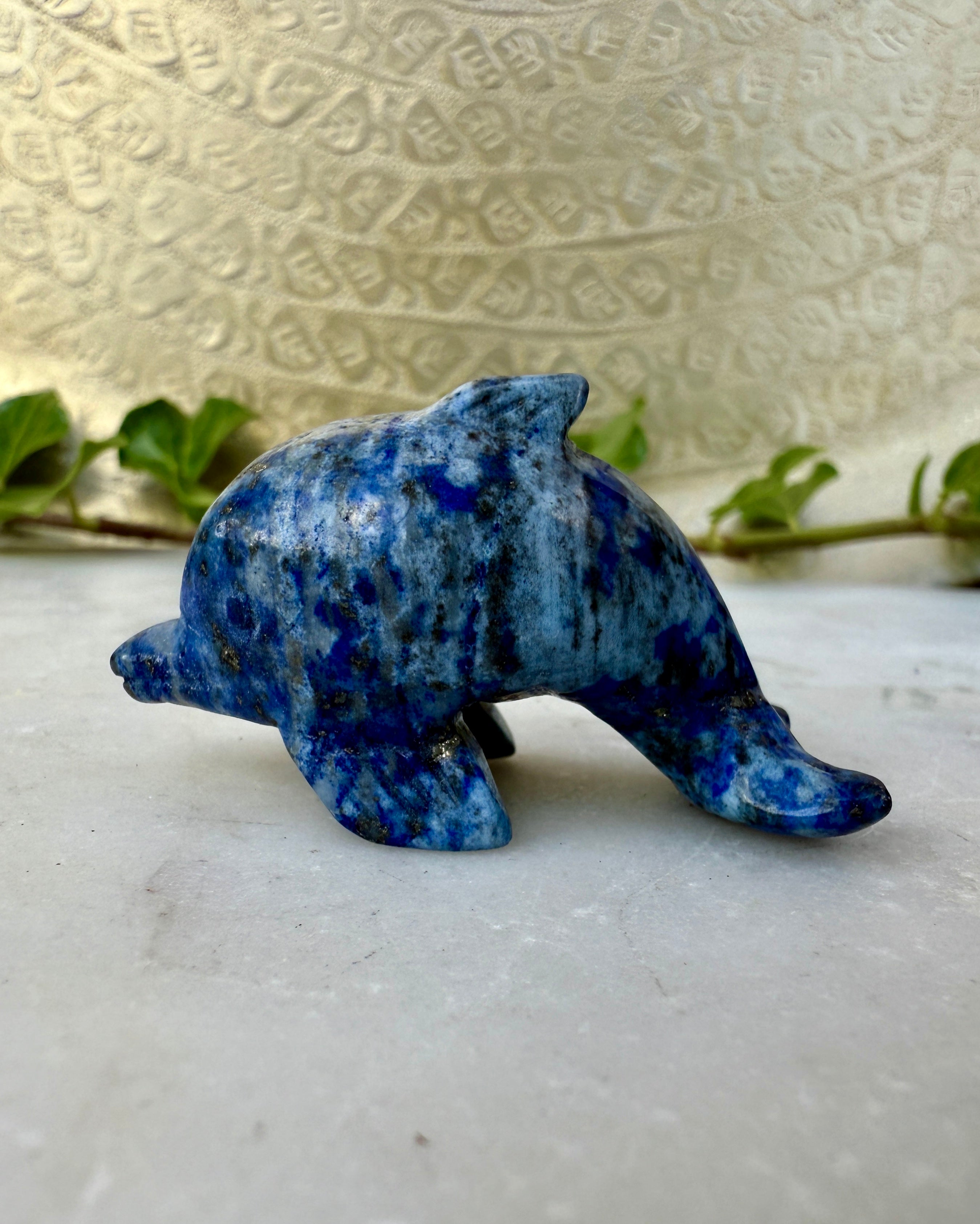 INTELLIGENS OG VIDEN - DELFIN