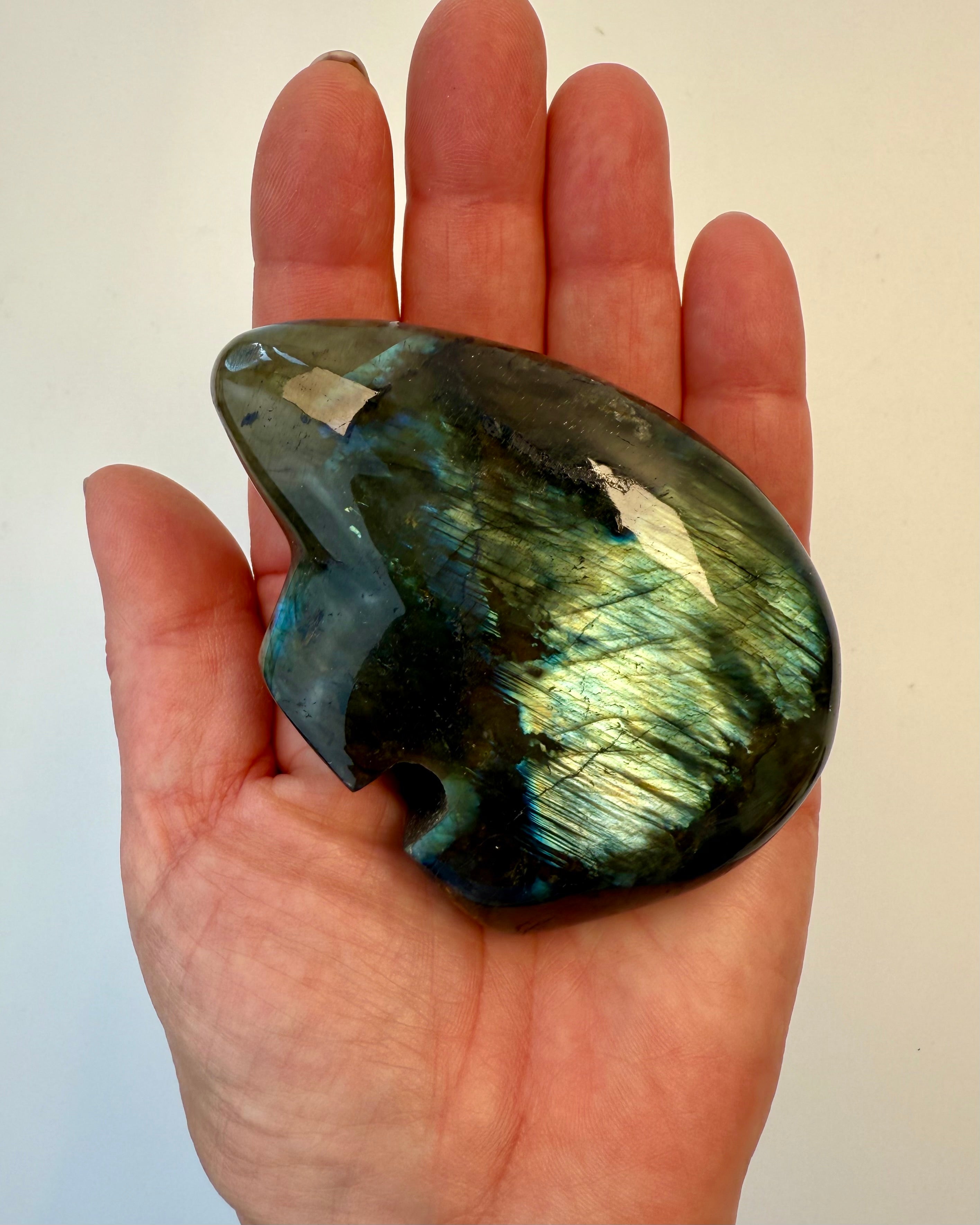 FORTIDENS AFTALER - SHAMANENS BJØRN