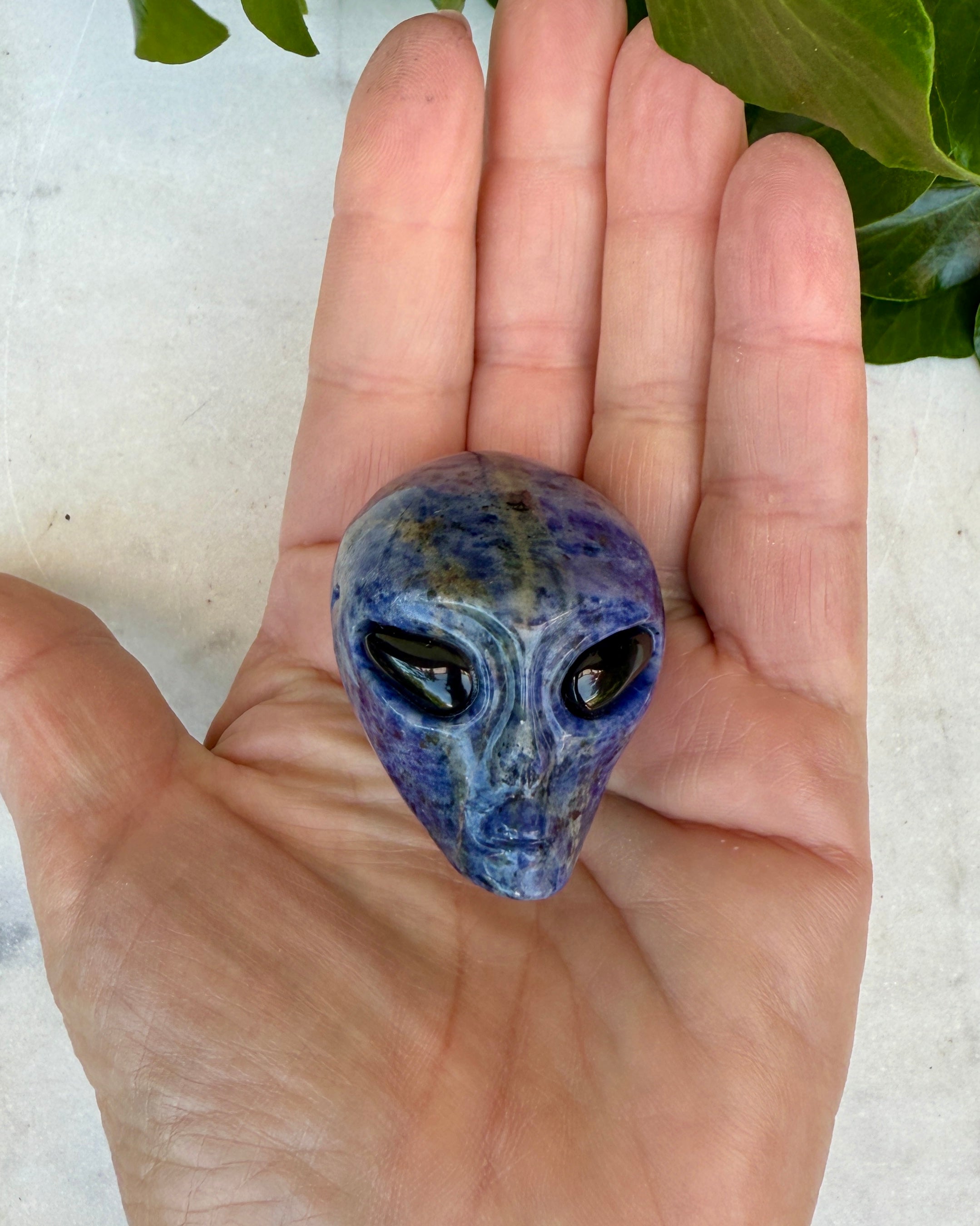 BUSINESS UPGRADE - ALIEN - UNIKA