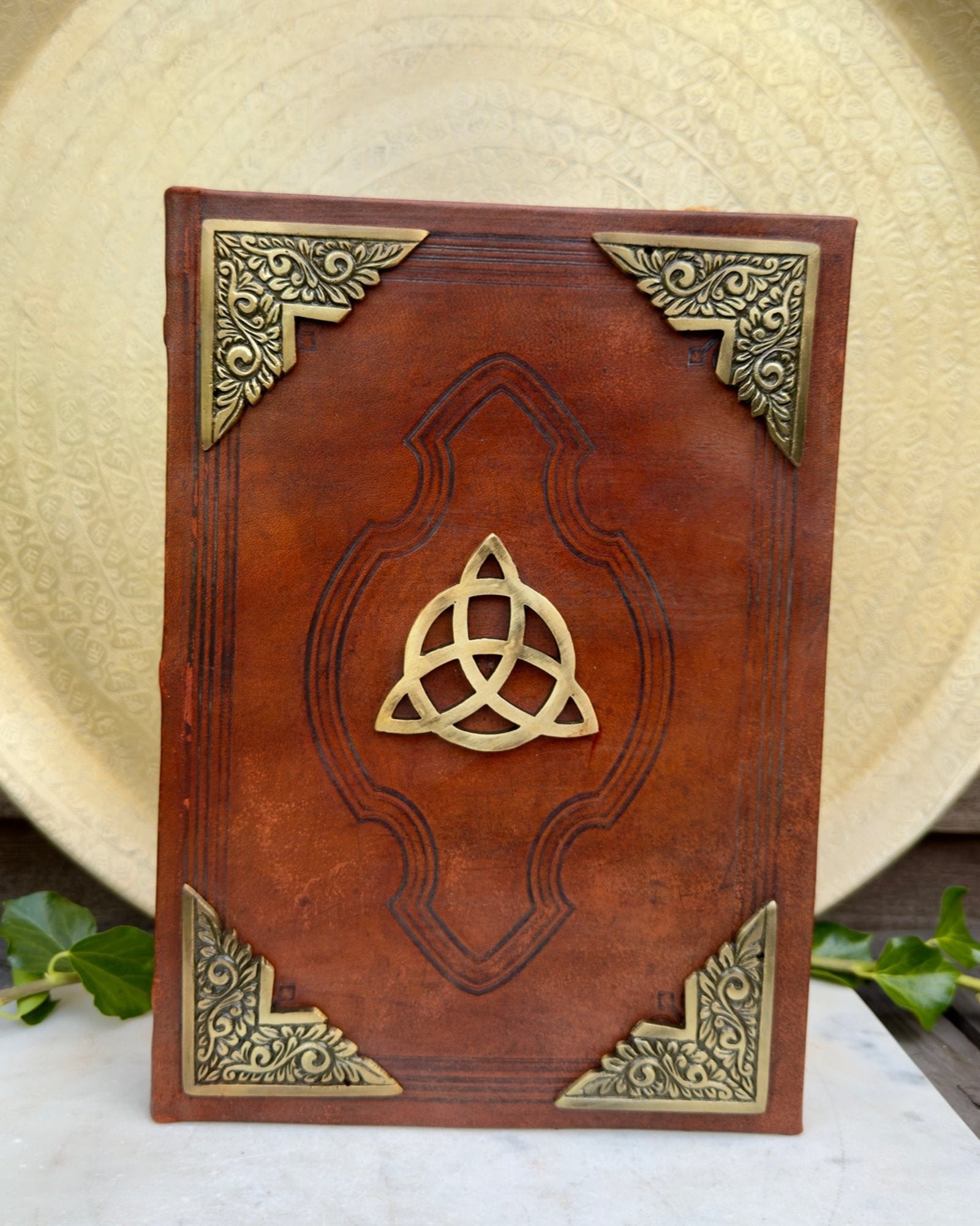 LIV, DØD OG GENFØDSEL - BOG 1 tilb