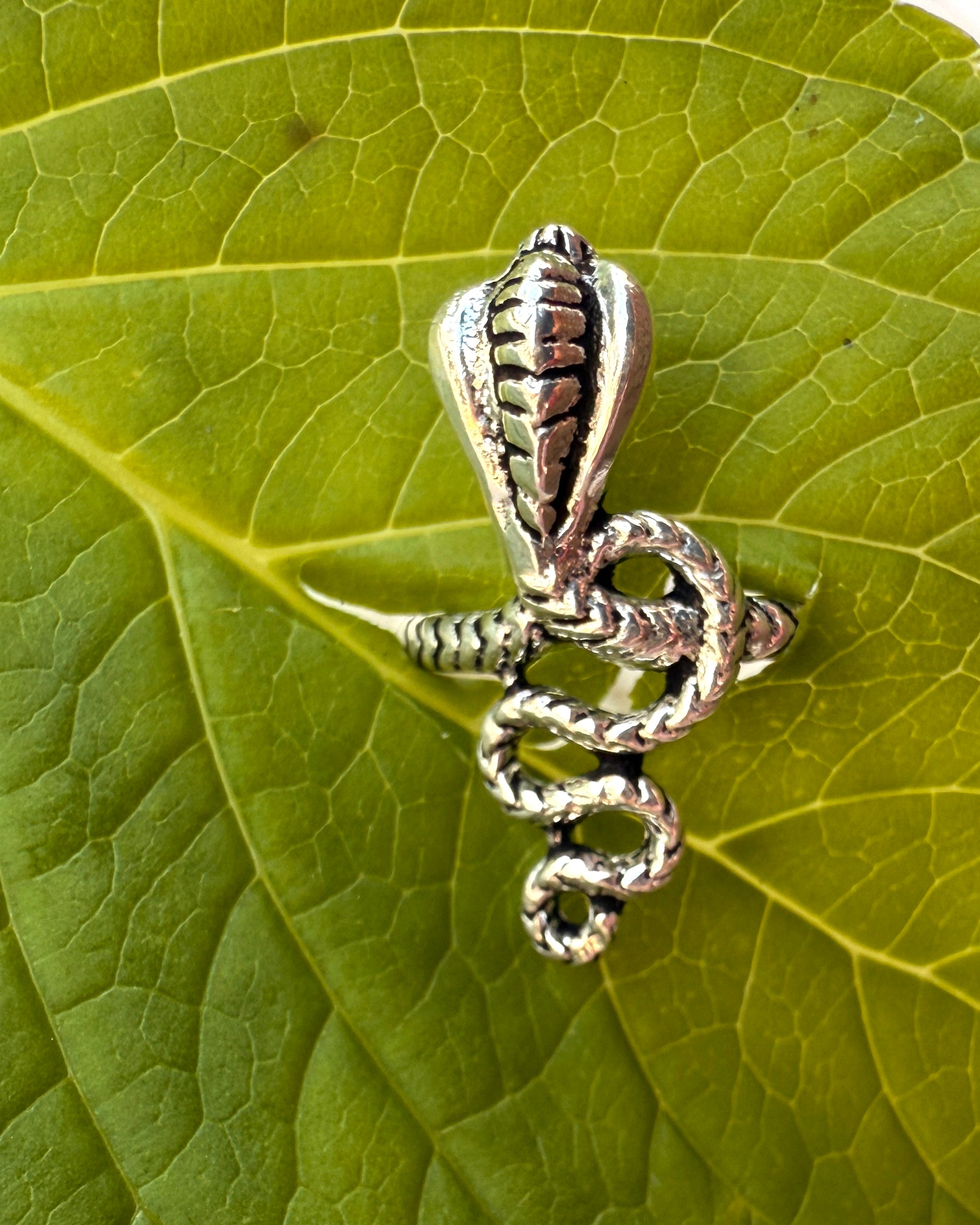 BORN TO BE WILD - RING 1 tilb