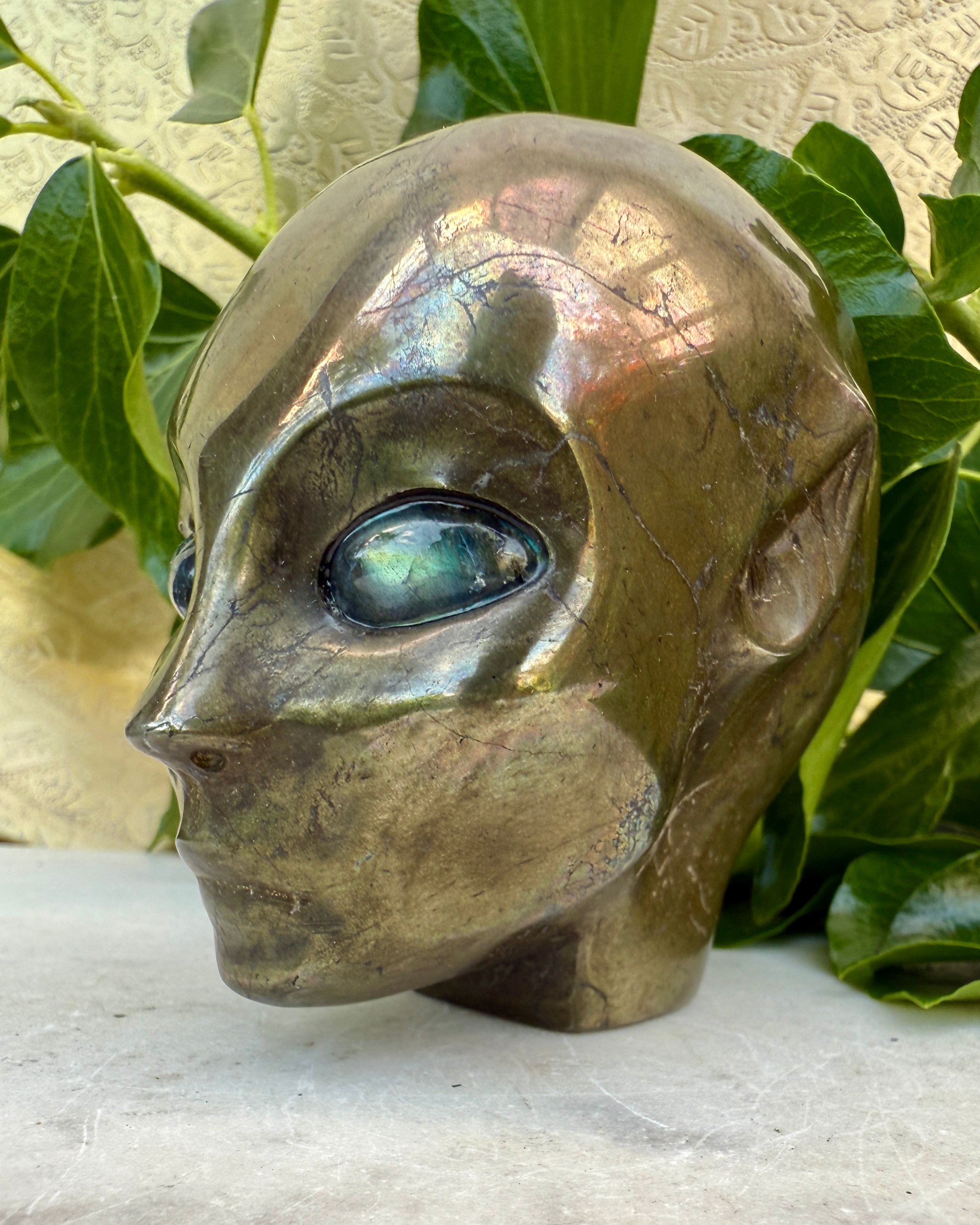 UANEDE FORBINDELSER - ALIEN - UNIKA