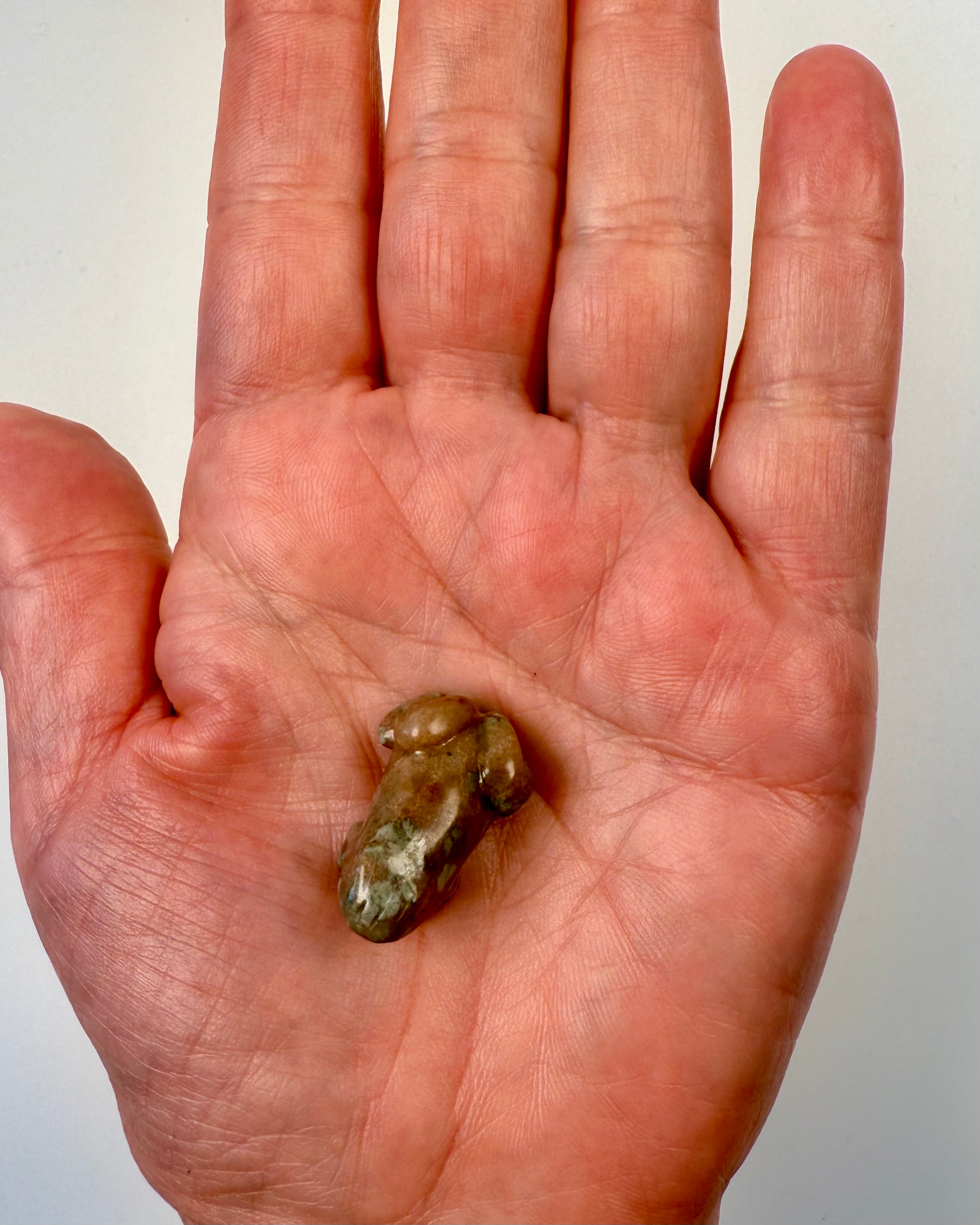 FORVANDLING OG NY START - FRØ