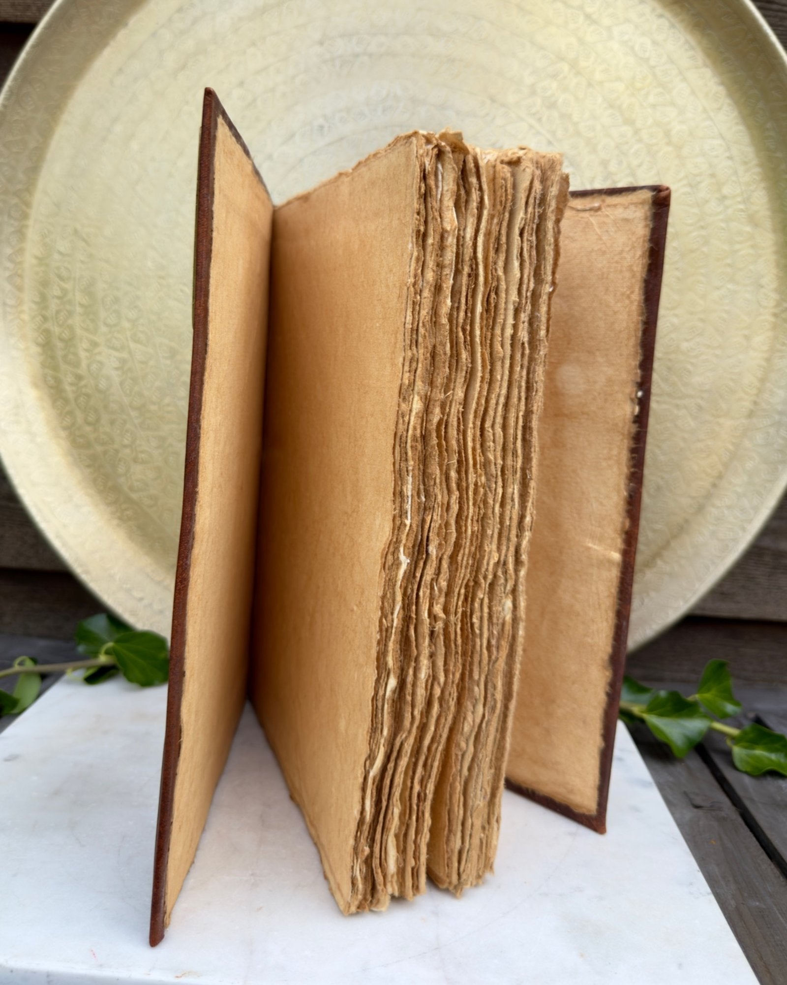 LIV, DØD OG GENFØDSEL - BOG 1 tilb