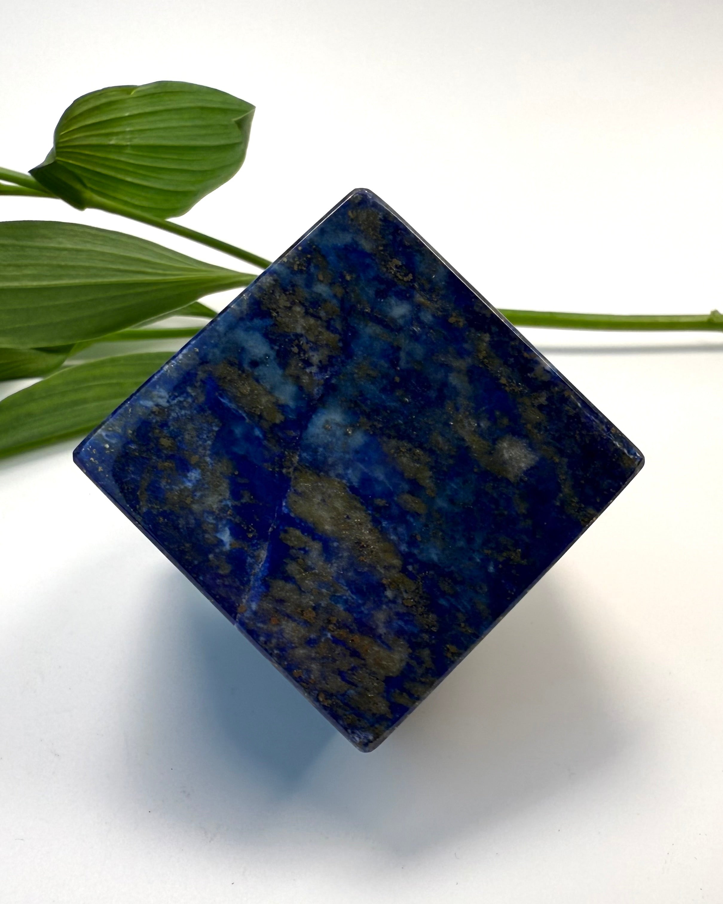 MONEY IN THE HOUSE - KRYSTAL - UNIKA