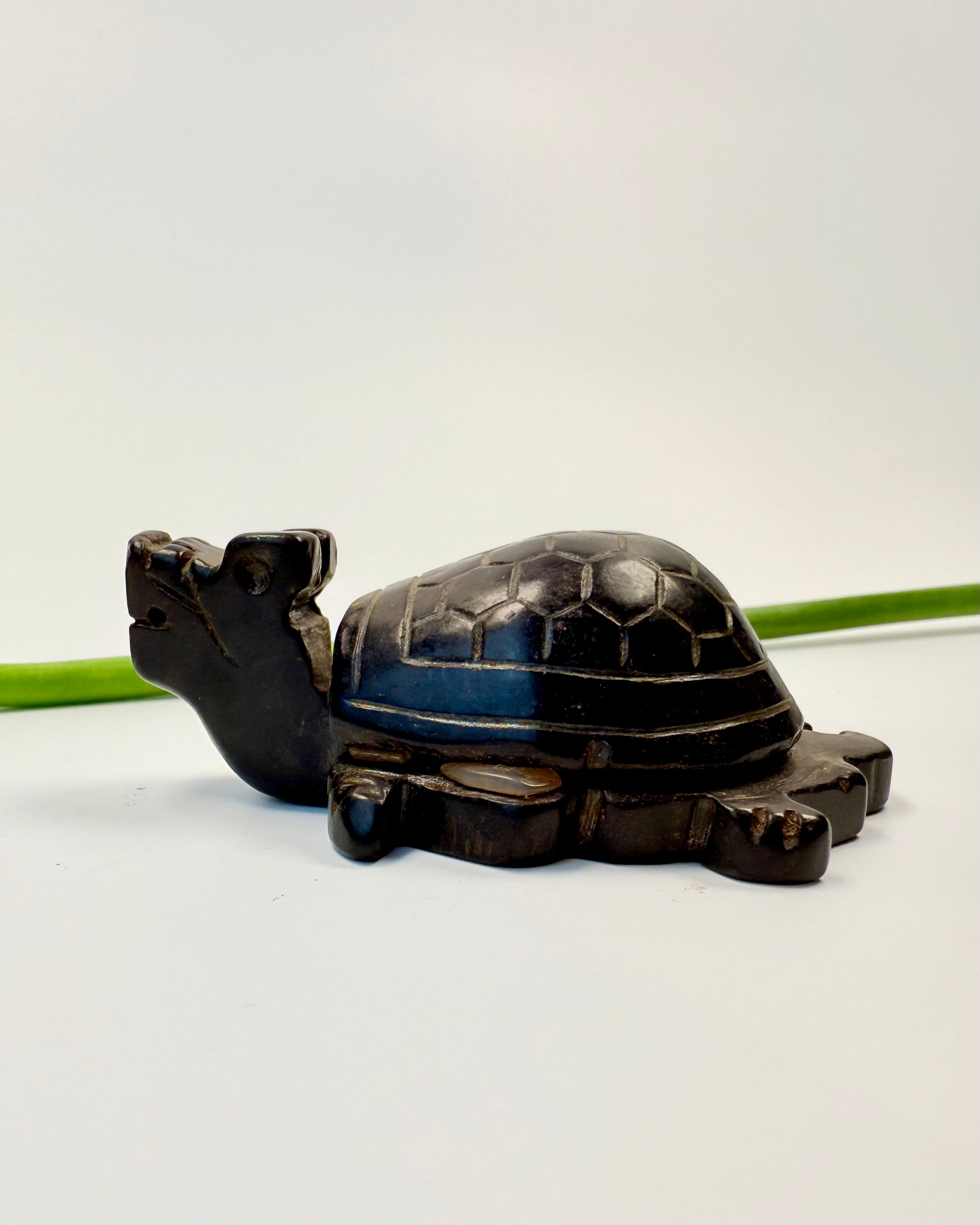 DEN DER BÆRER TIDEN - SKILDPADDE - UNIKA