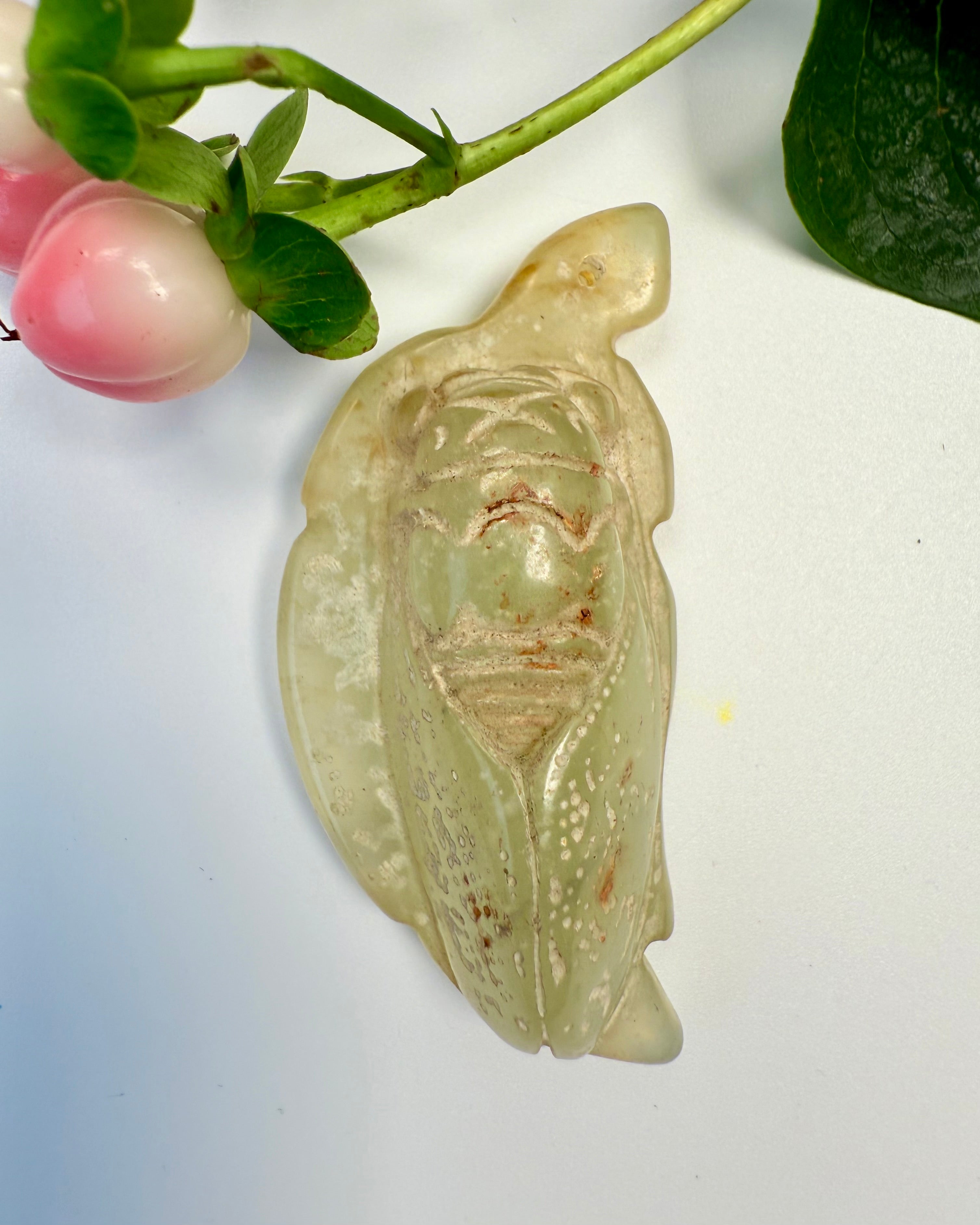 GENFØDSEL - CIKADE - UNIKA