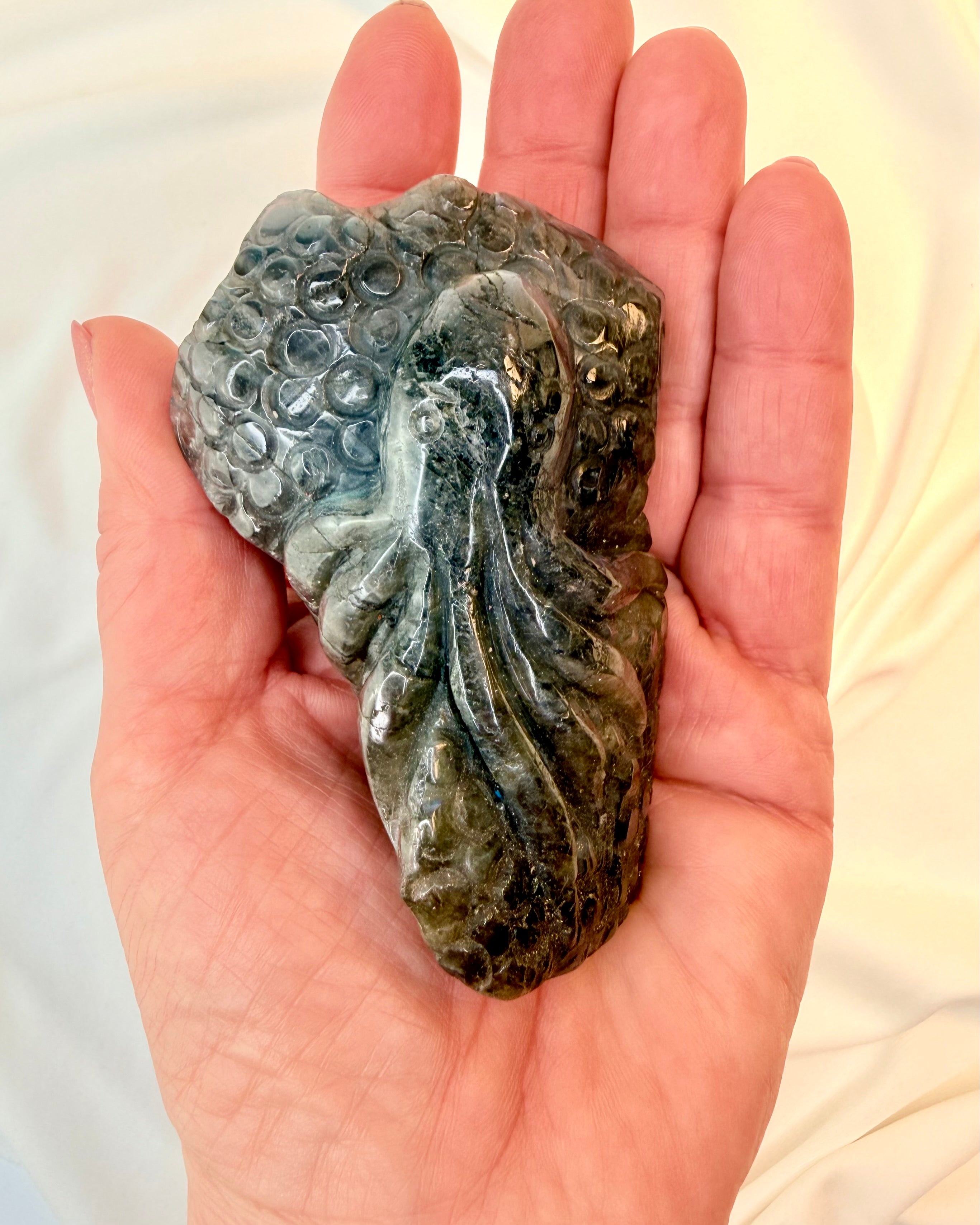 EVNEN TIL AT STARTE FORFRA - BLÆKSPRUTTE - KRYSTAL - UNIKA