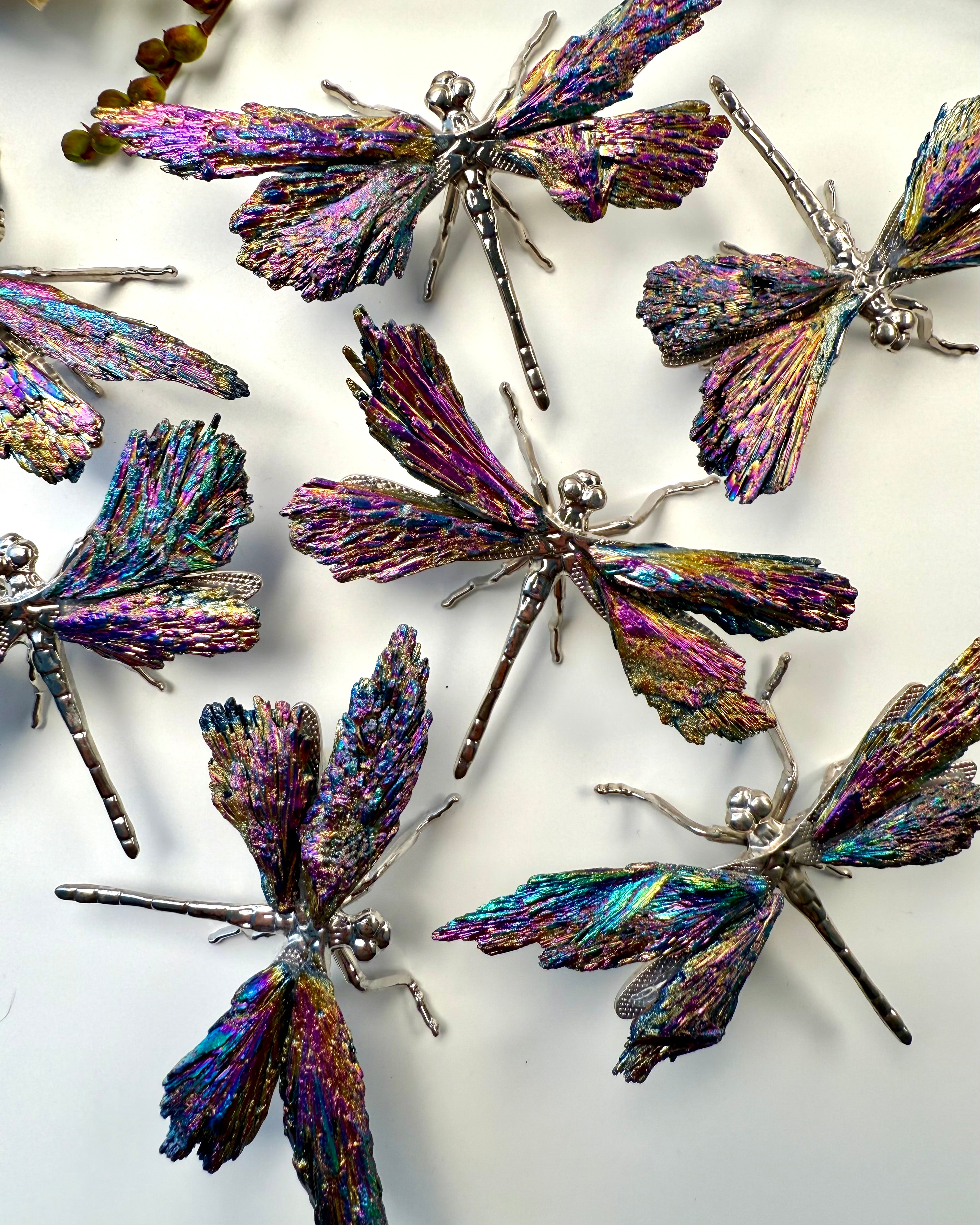 MAKE YOUR DREAMS COME TRUE - DRAGONFLY