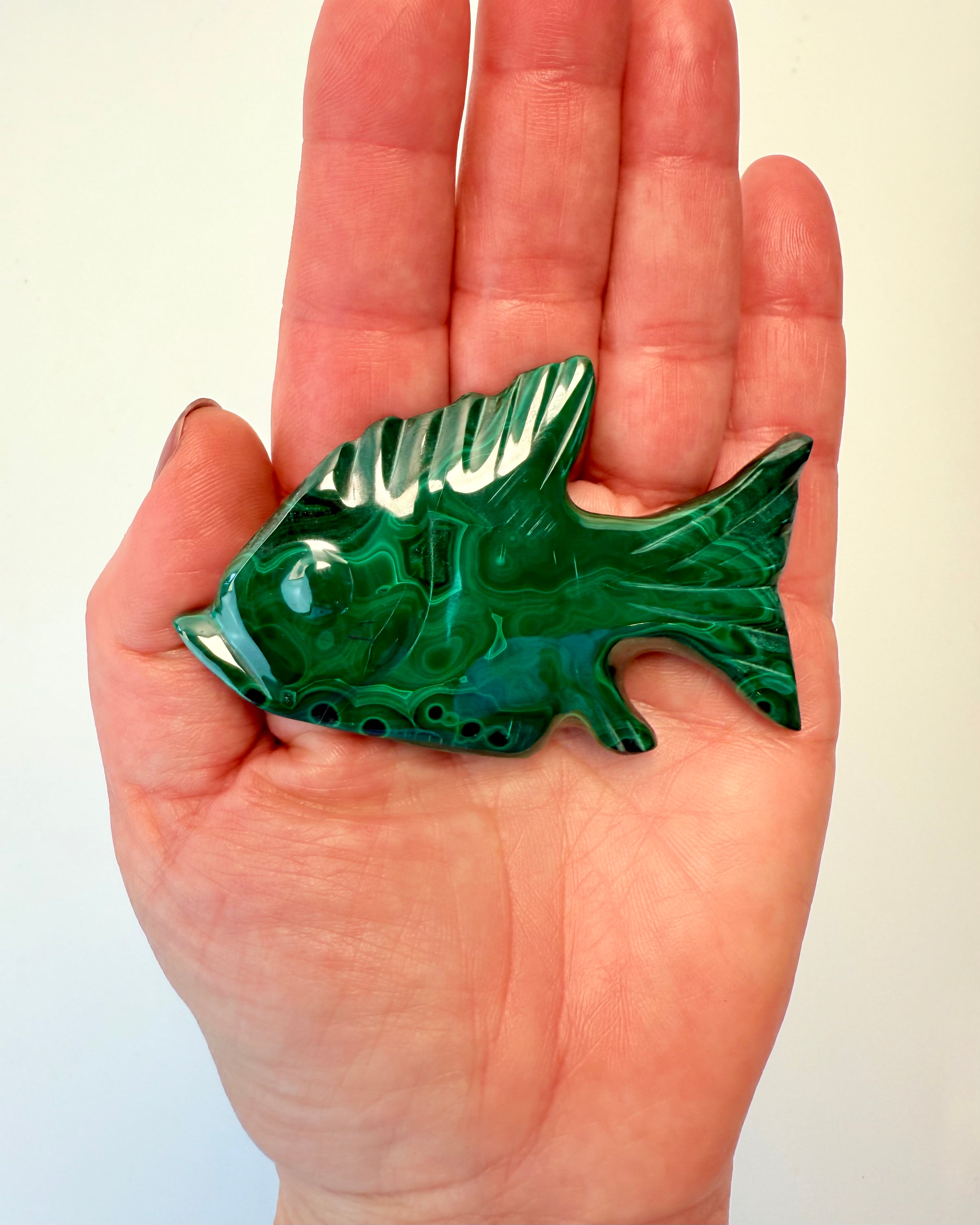 FLYDENDE ENERGI - FISK KRYSTAL 1 tilb