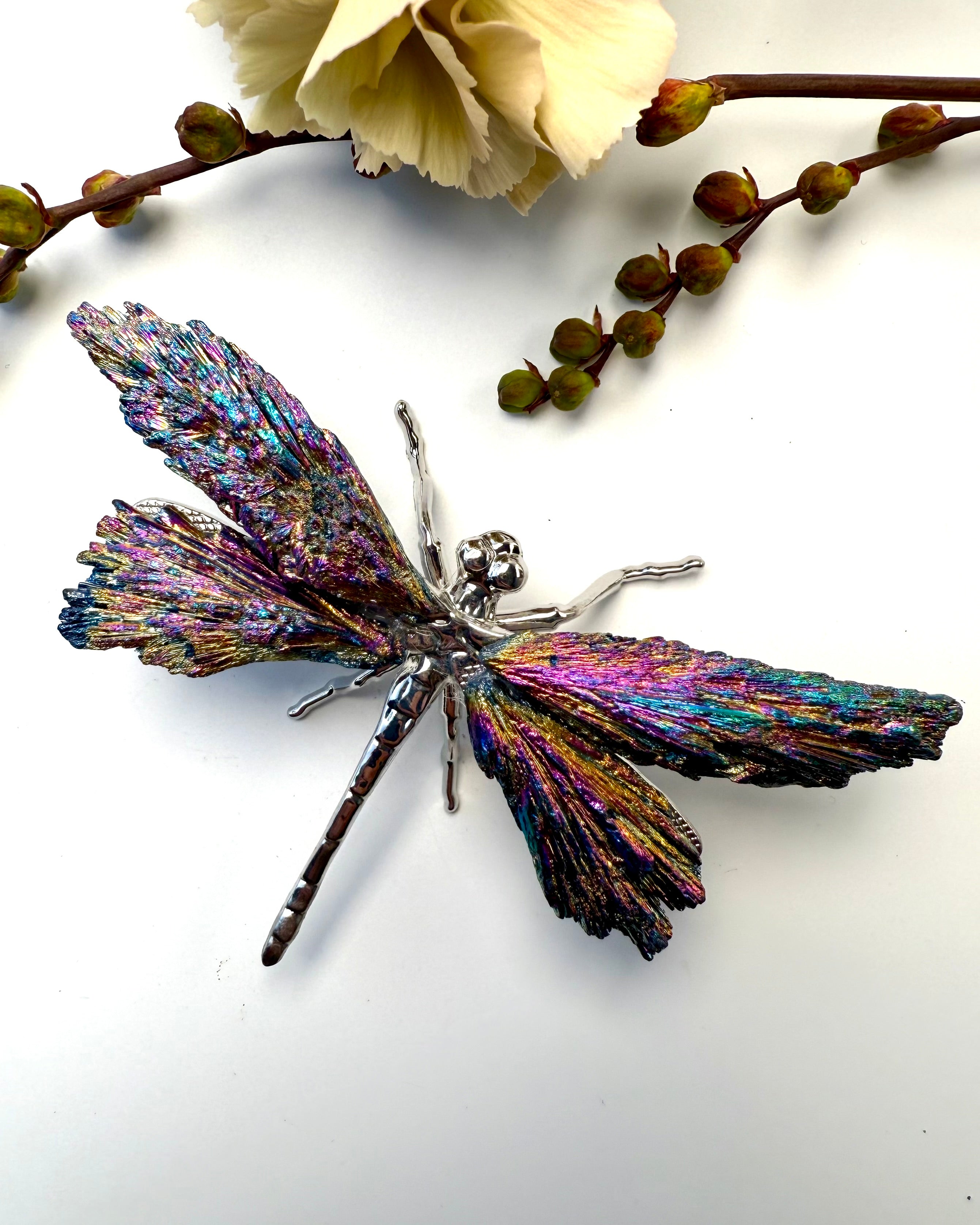 MAKE YOUR DREAMS COME TRUE - DRAGONFLY