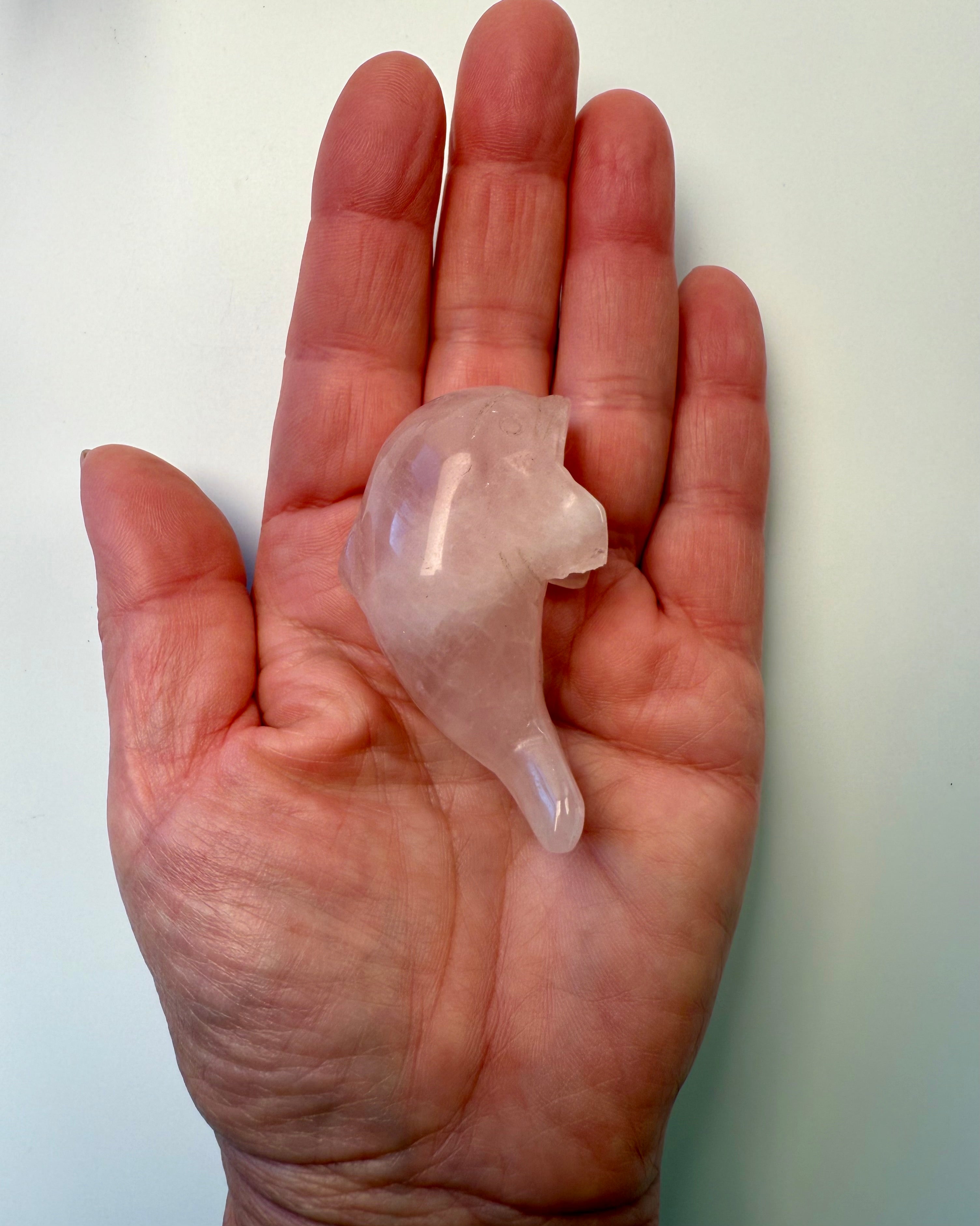 FORSTÅELSE - DELFIN