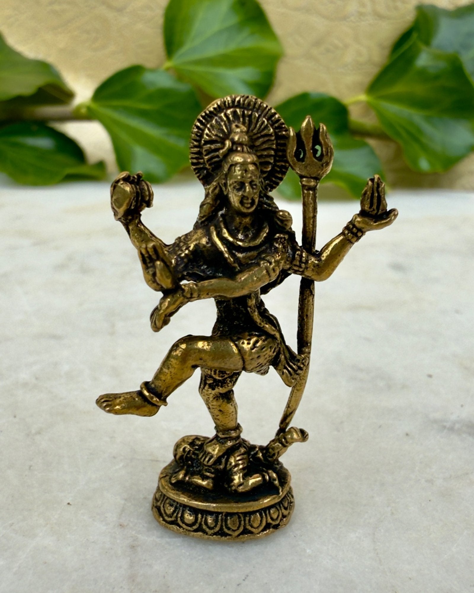 DIN UDVIKLINGSREJSE - FIGUR