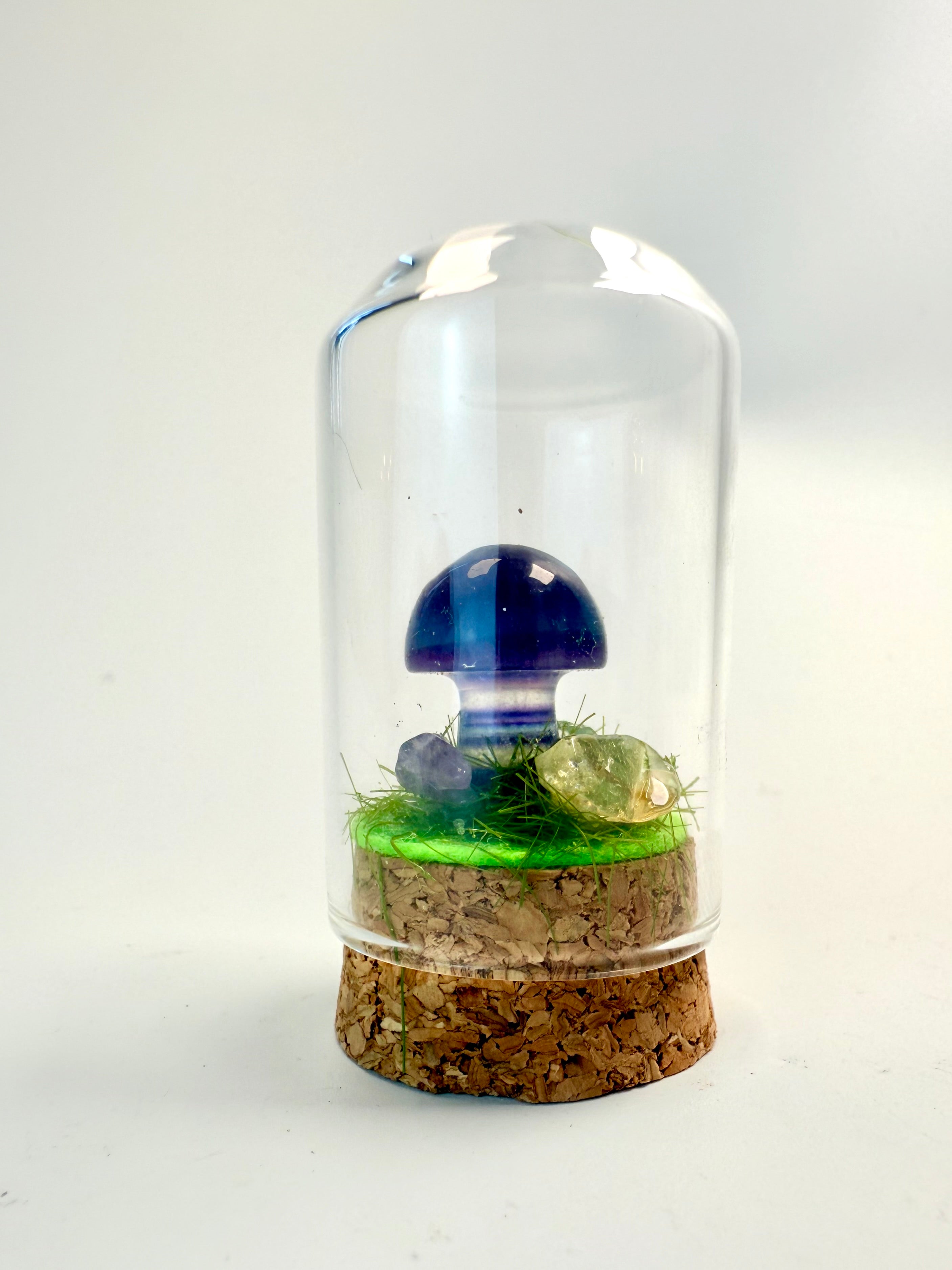 SKOVENS MAGISKE HEMMELIGHEDER