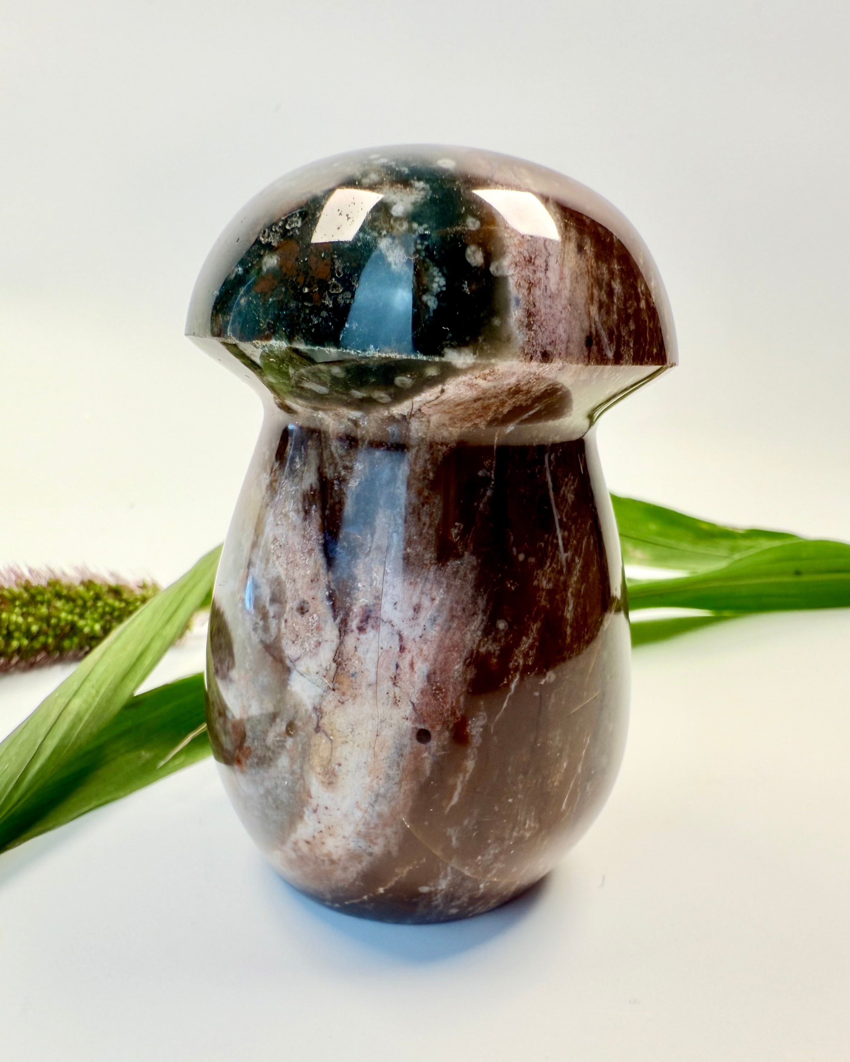 PÅ EVENTYR I DRØMMELAND - SVAMP - UNIKA