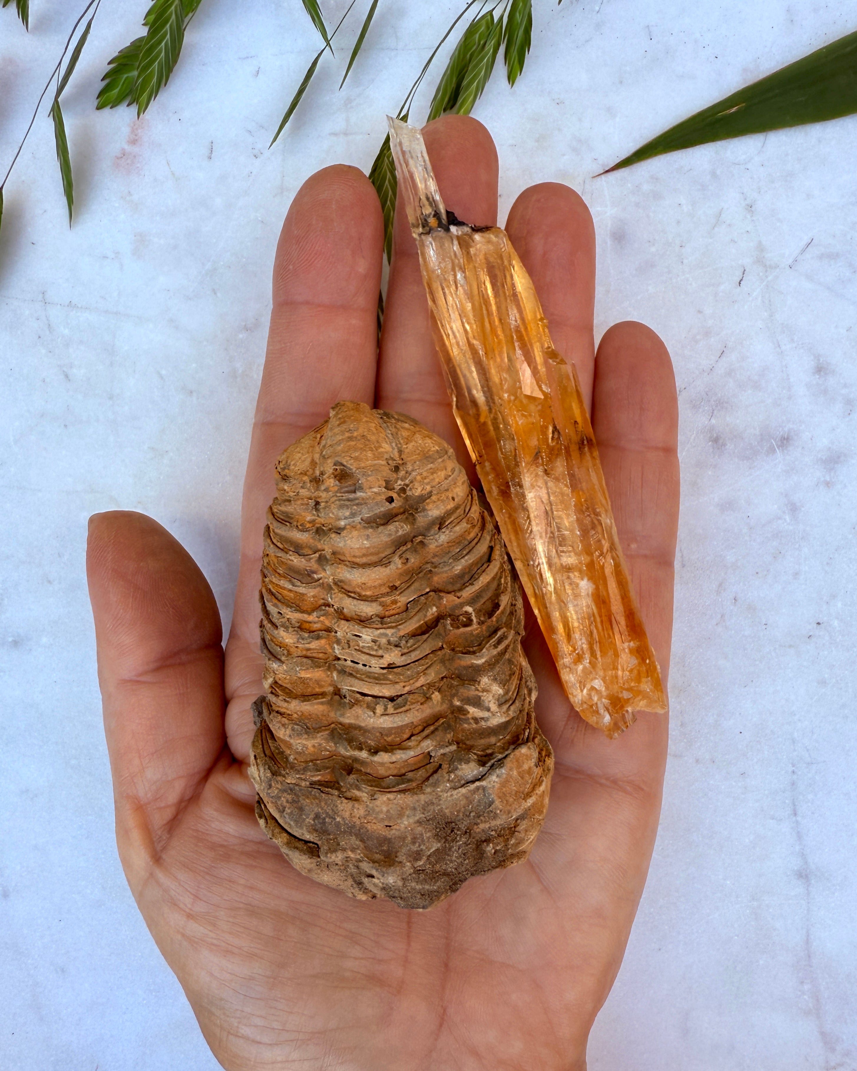 AFMAGT - SÆT - UNIKA