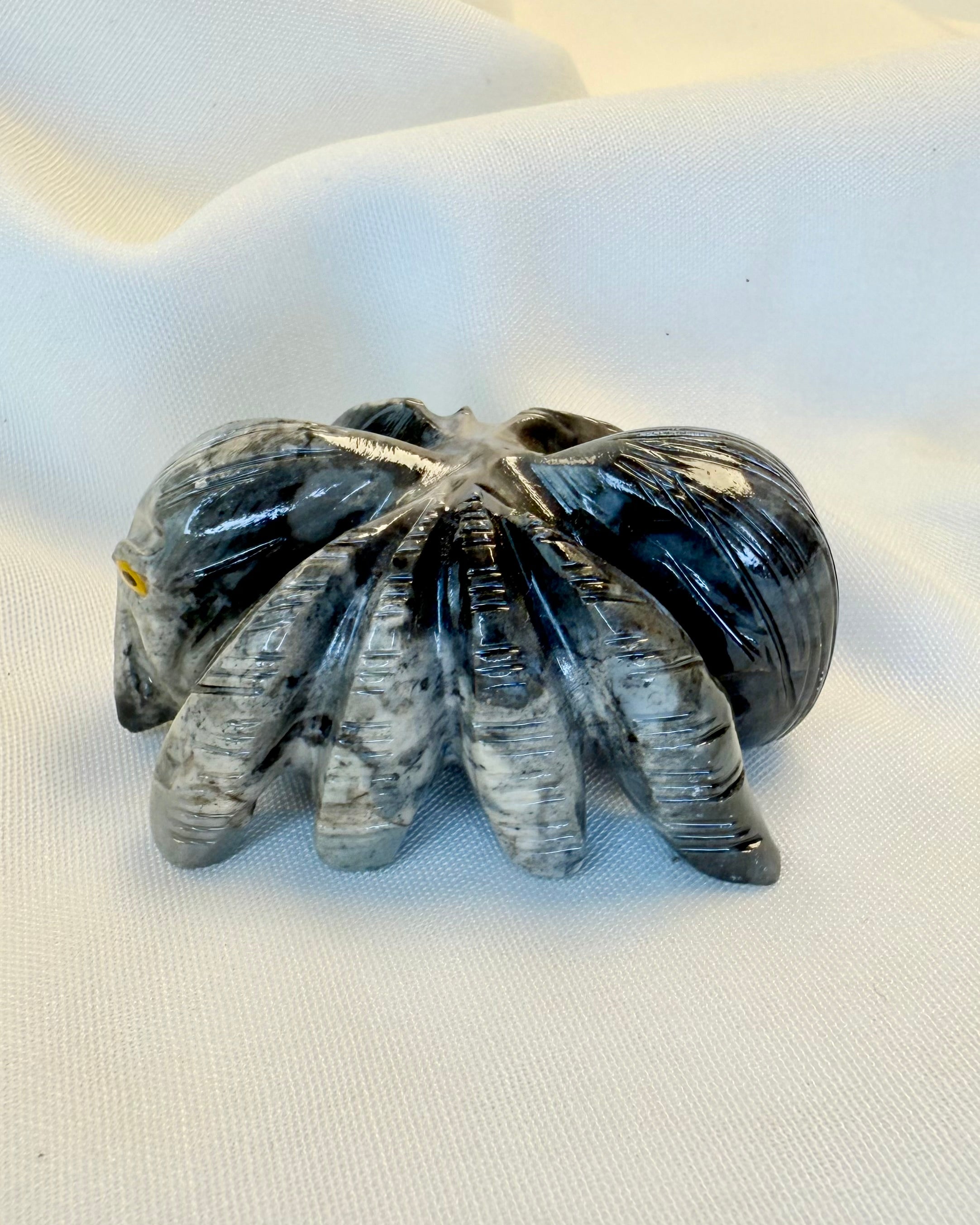 HOME IN THE WORLD - EDDERKOP - UNIKA