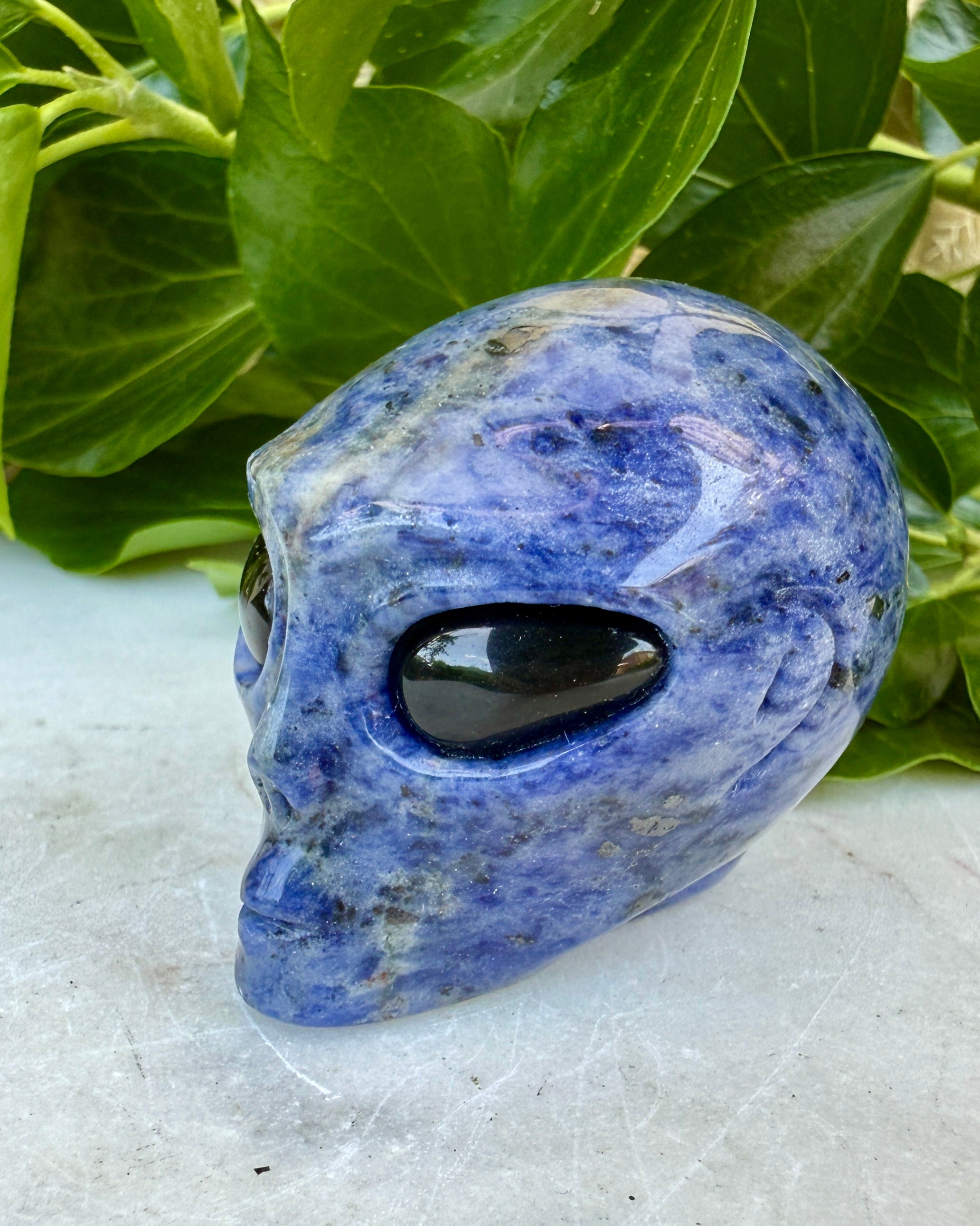 BUSINESS UPGRADE - ALIEN - UNIKA