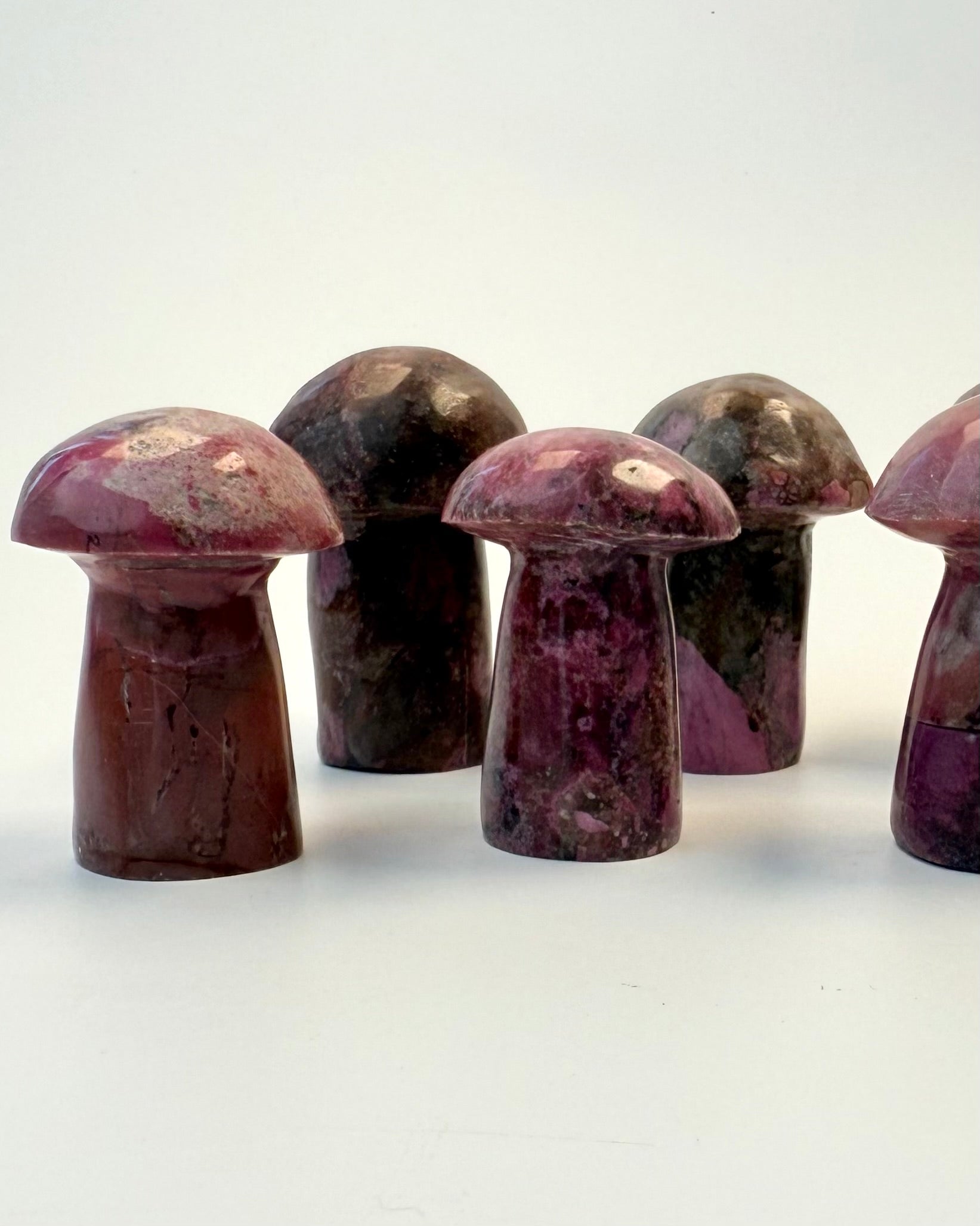 RODENS FORTÆLLING - SVAMP