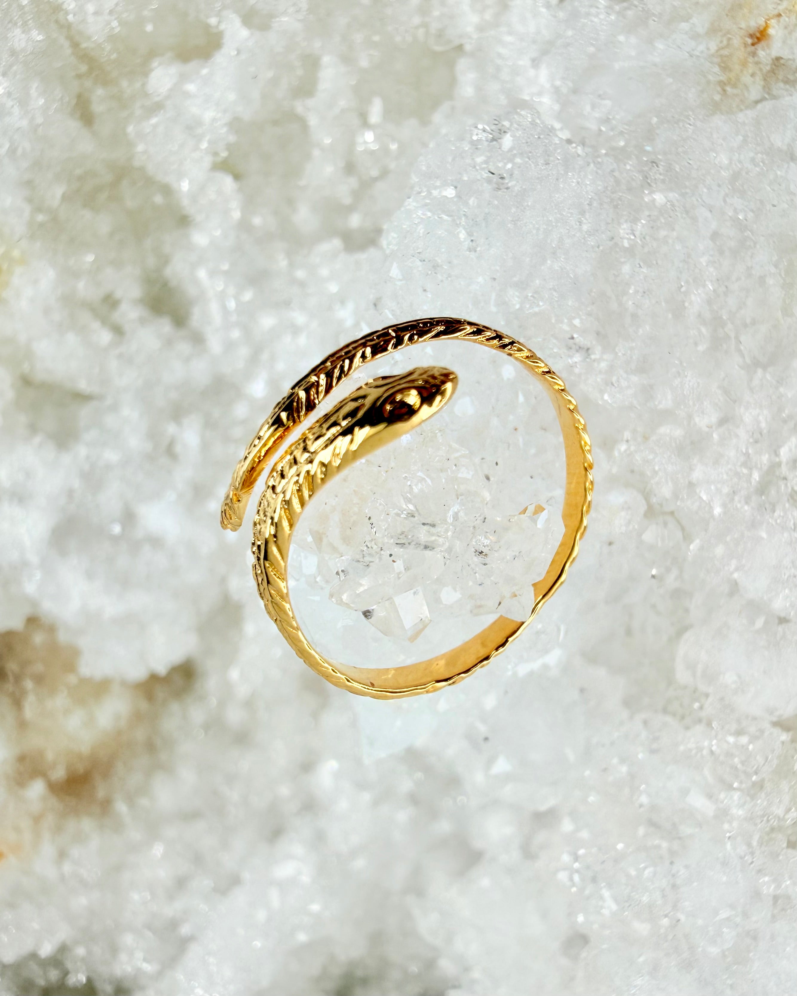 SLANGENS INSTINKT – RING 1 tilb