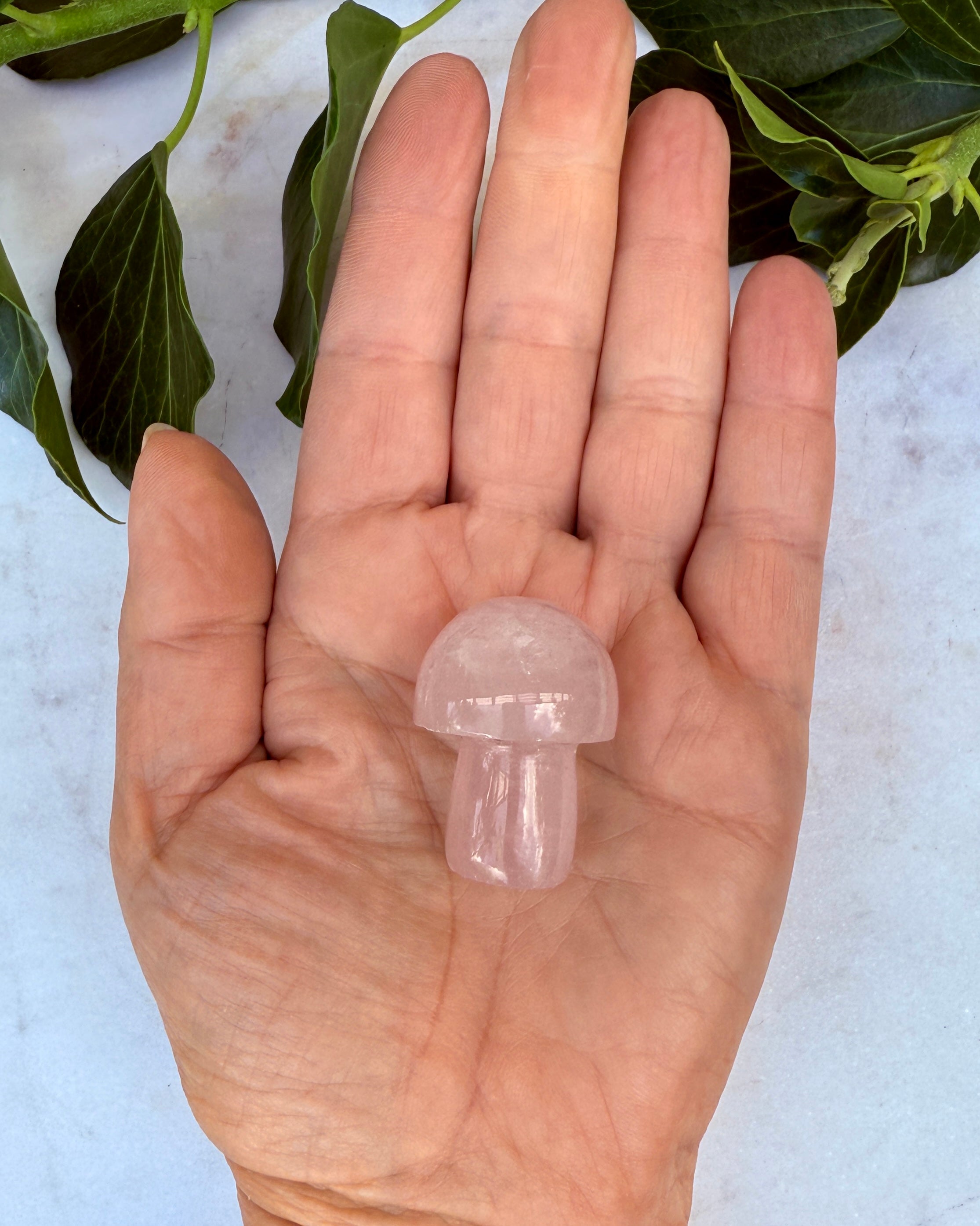 ET LIV I HARMONI - SVAMP